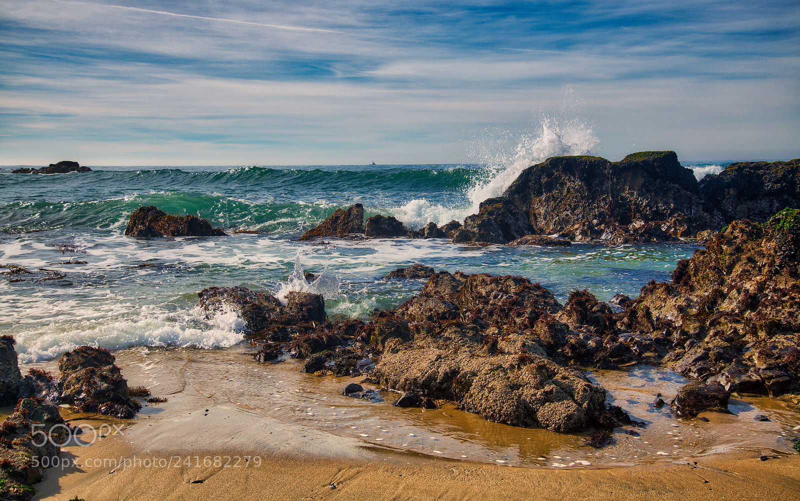 Nikon D850 sample photo. Northern california coastline photography