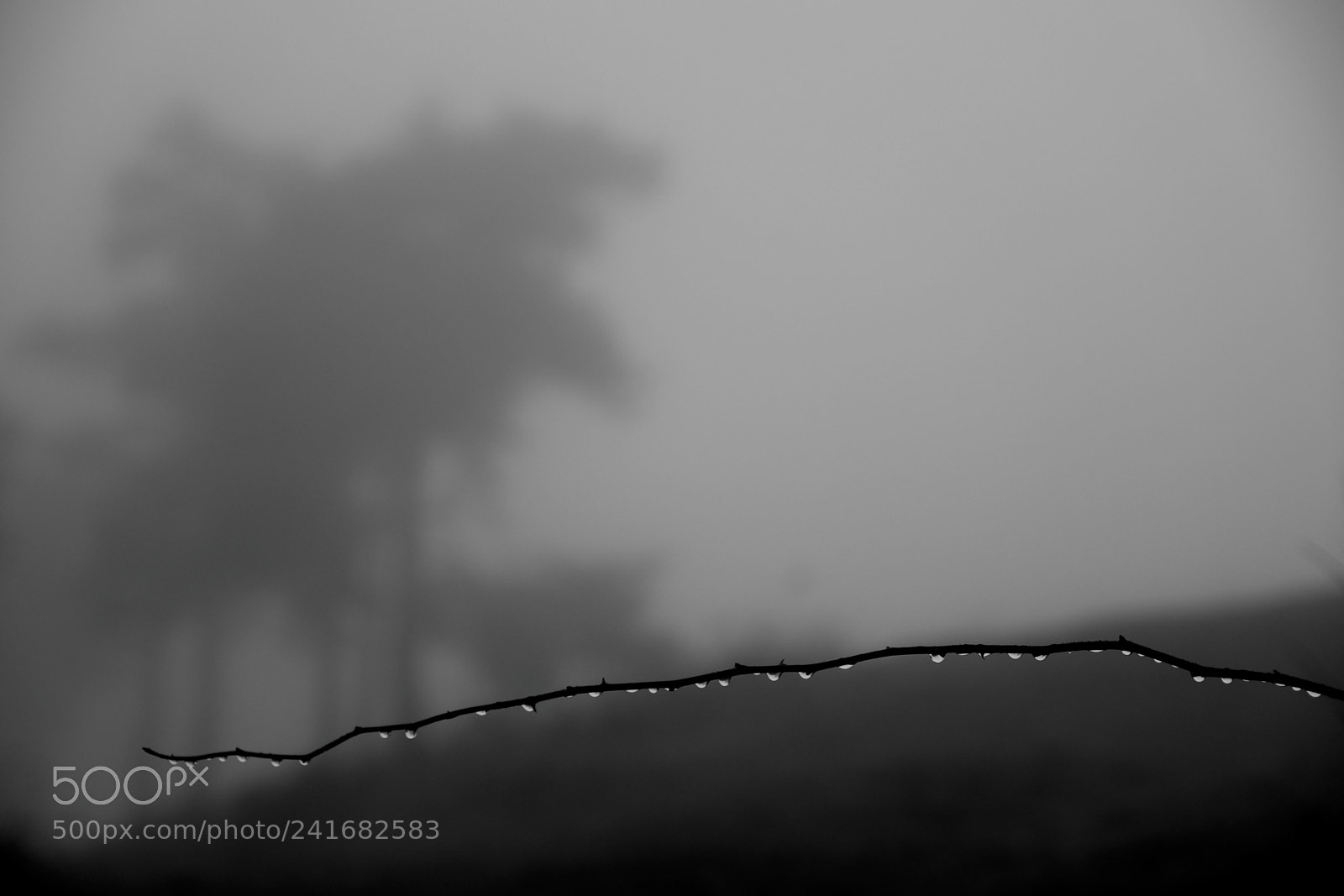 Fujifilm X-T1 sample photo. Chapelet de gouttes photography