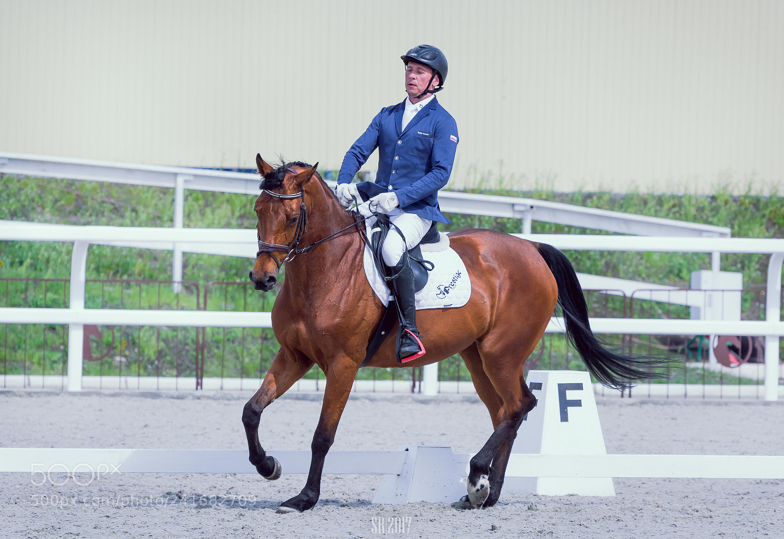 Nikon D7100 sample photo. Dressage photography