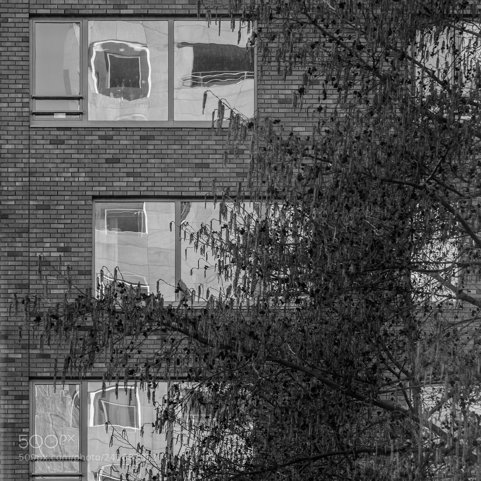 Fujifilm X-T2 sample photo. Kop van zuid photography