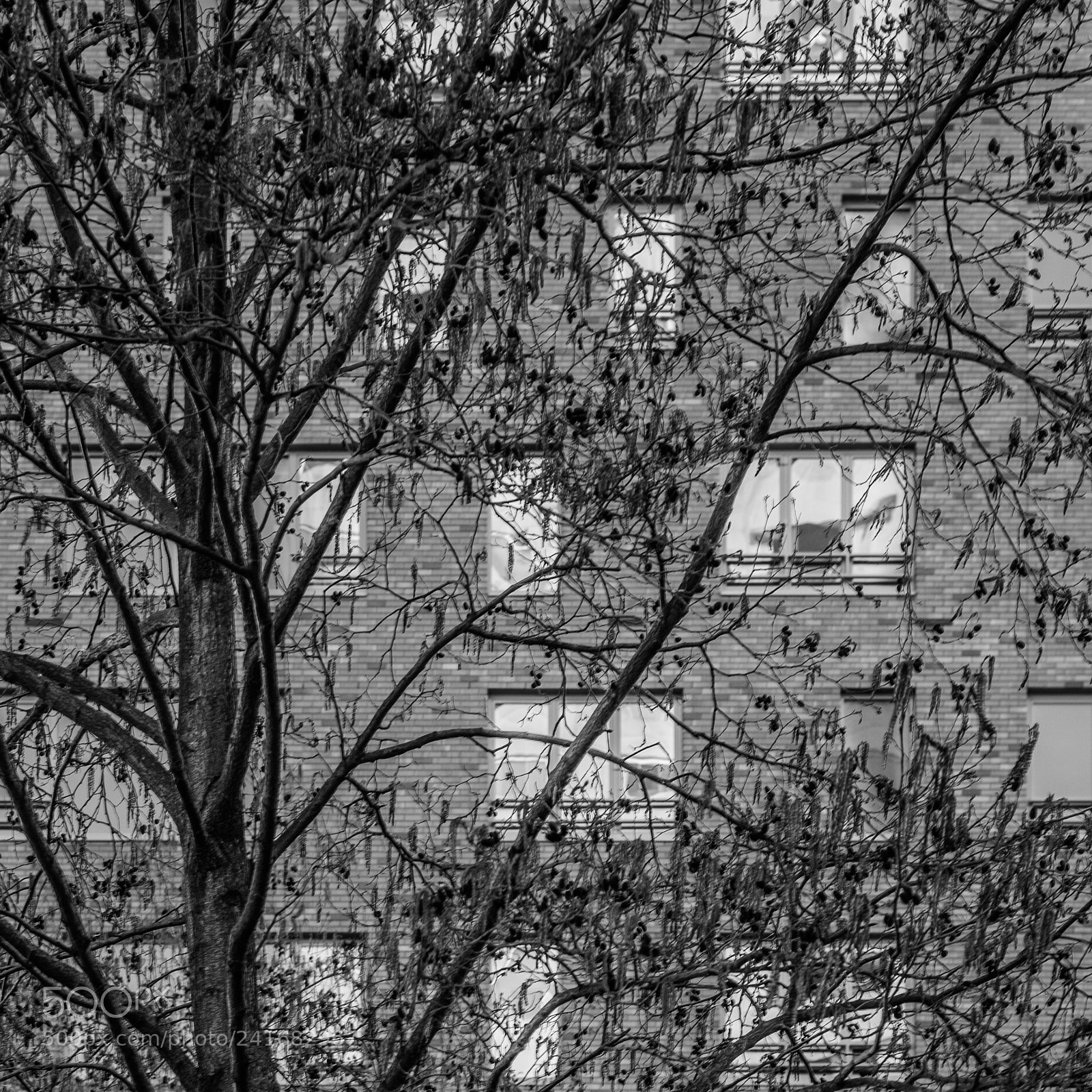 Fujifilm X-T2 sample photo. Kop van zuid photography