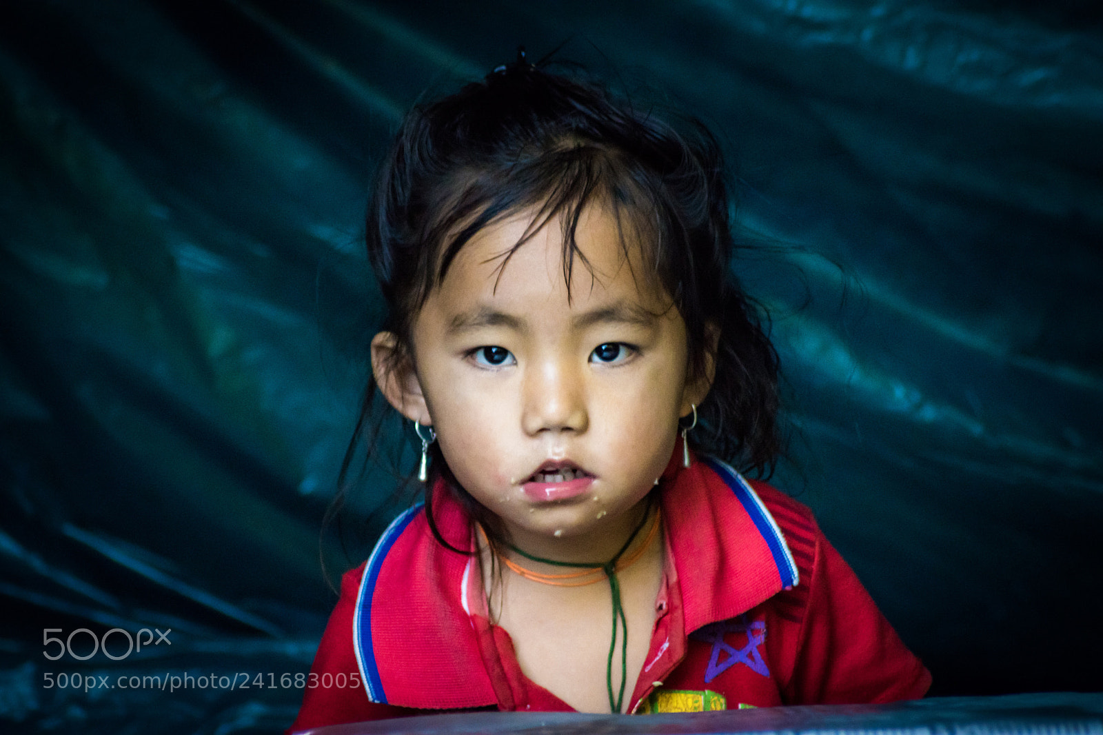 Nikon D5500 sample photo. The look in the photography