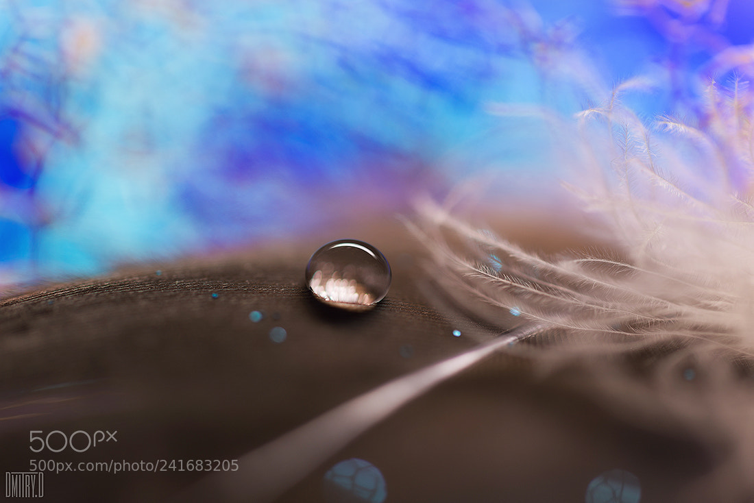Nikon D800 sample photo. Stories of drops 22 photography