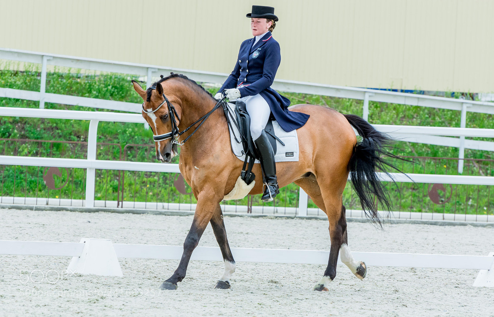 Nikon D7100 sample photo. Dressage photography