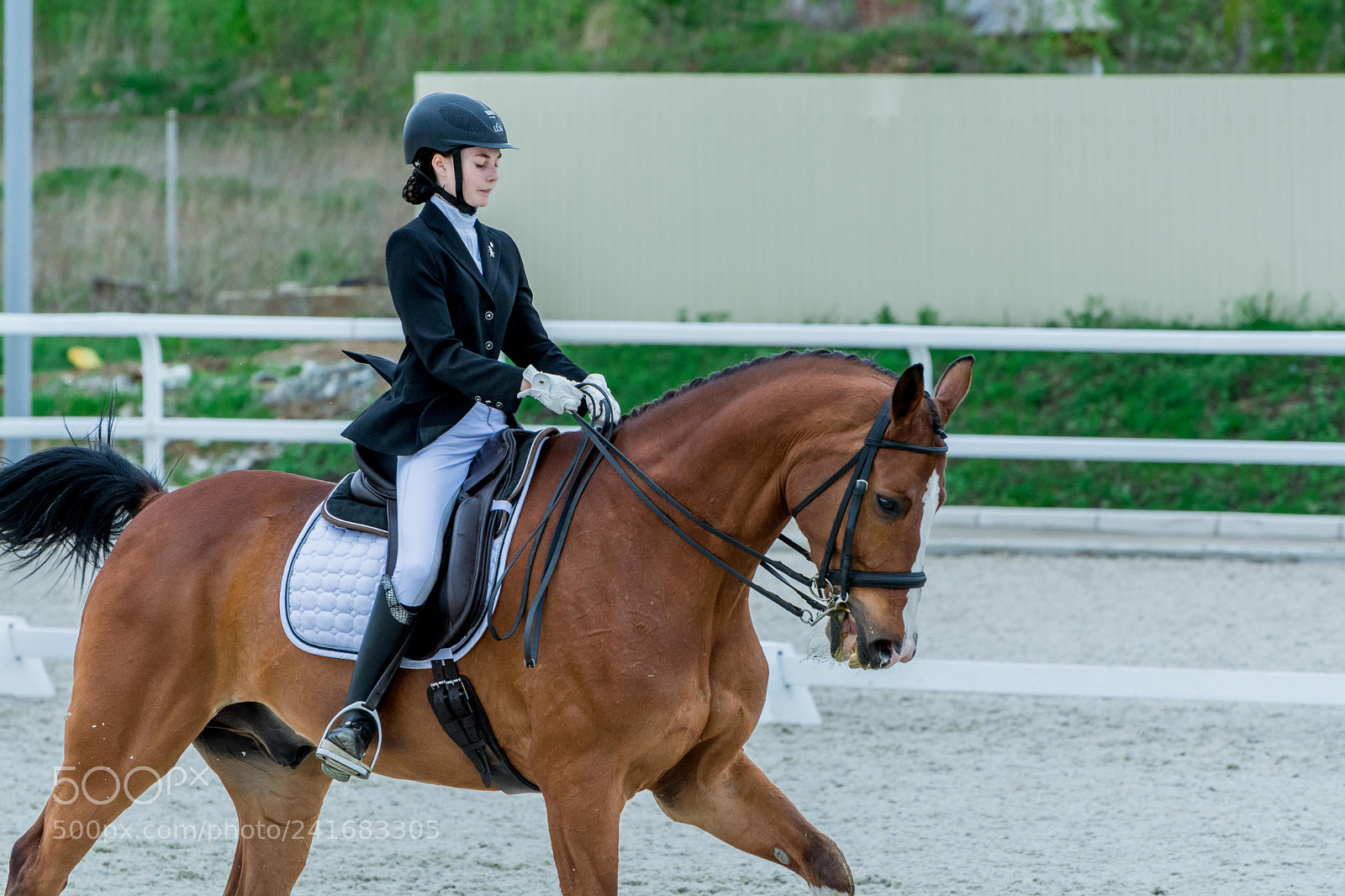 Nikon D7100 sample photo. Dressage photography