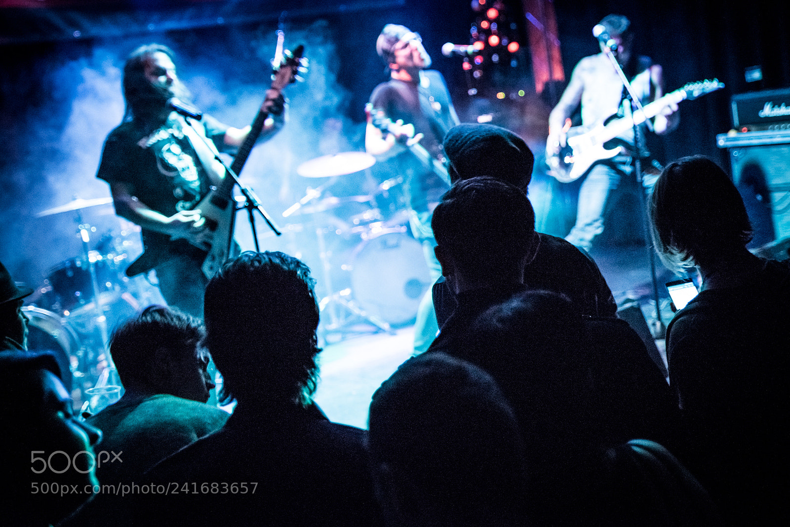 Nikon D810 sample photo. Audience photography