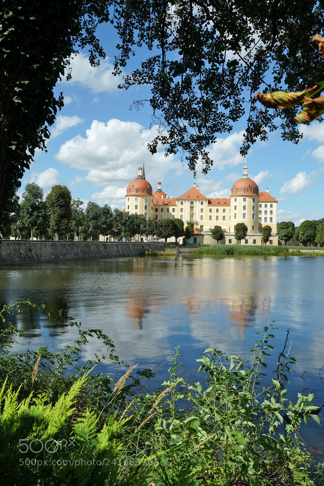 Sony SLT-A99V sample photo. Schloss moritzburg photography