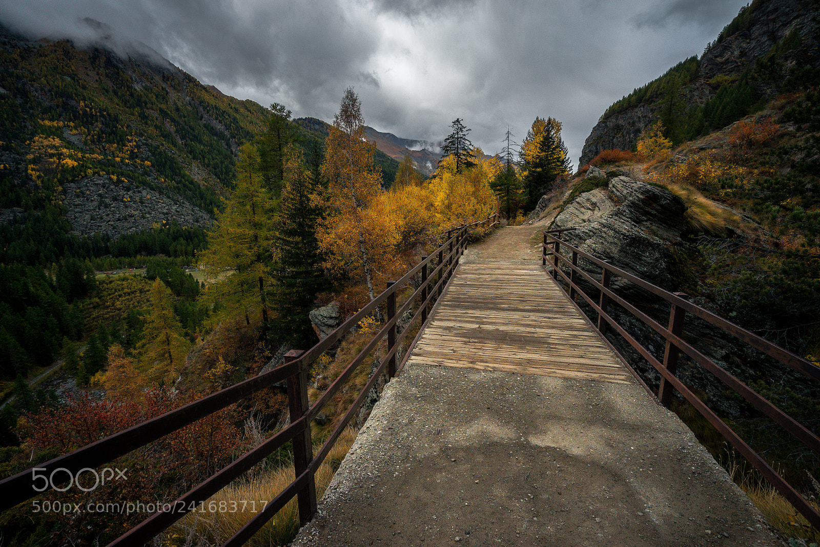 Sony a7R sample photo. Bridge neu photography
