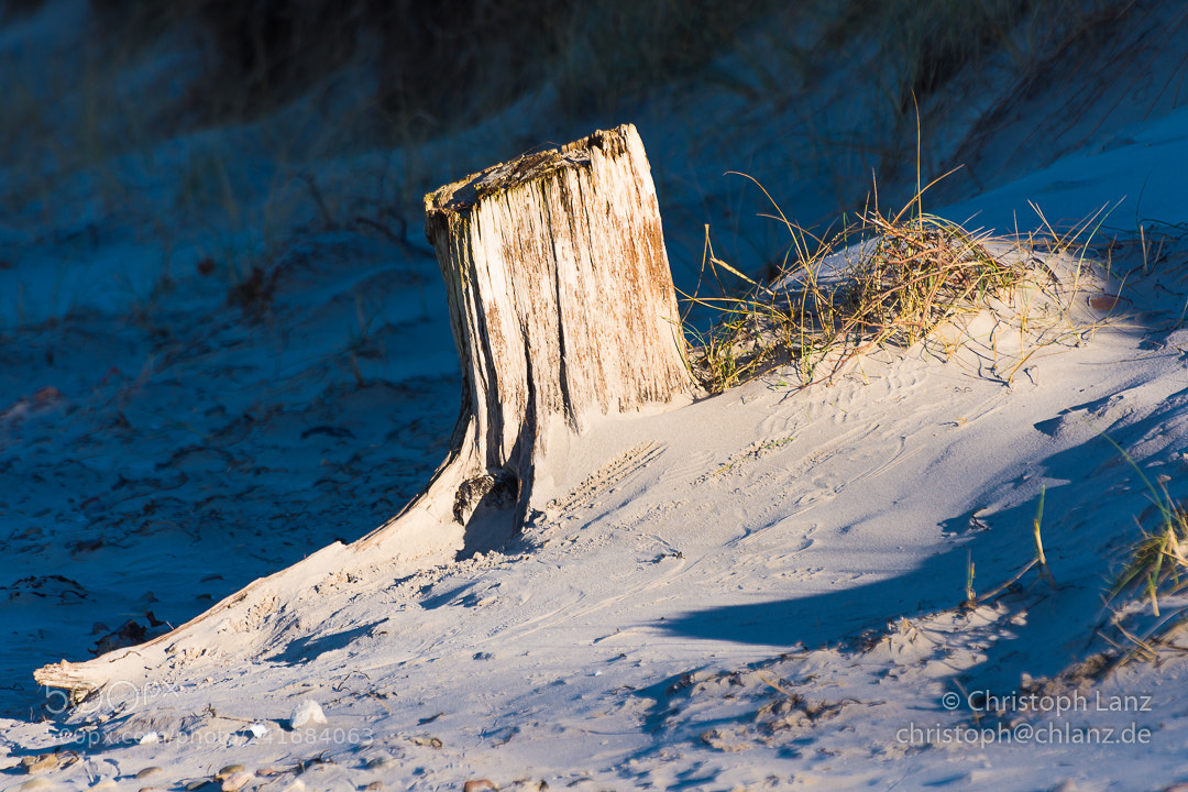 Nikon D7200 sample photo. On the border of photography