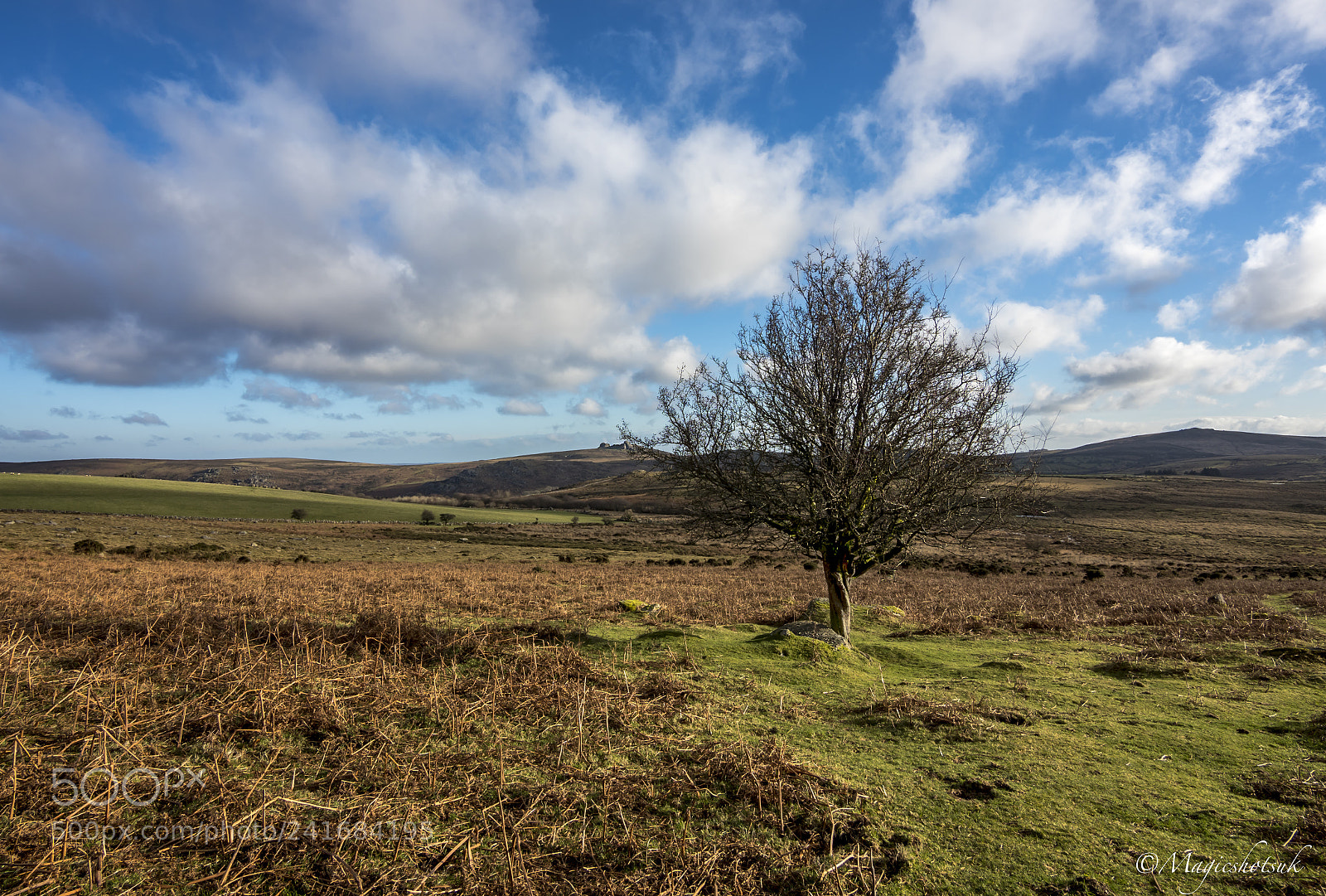 Olympus OM-D E-M1 Mark II sample photo. Cold day photography