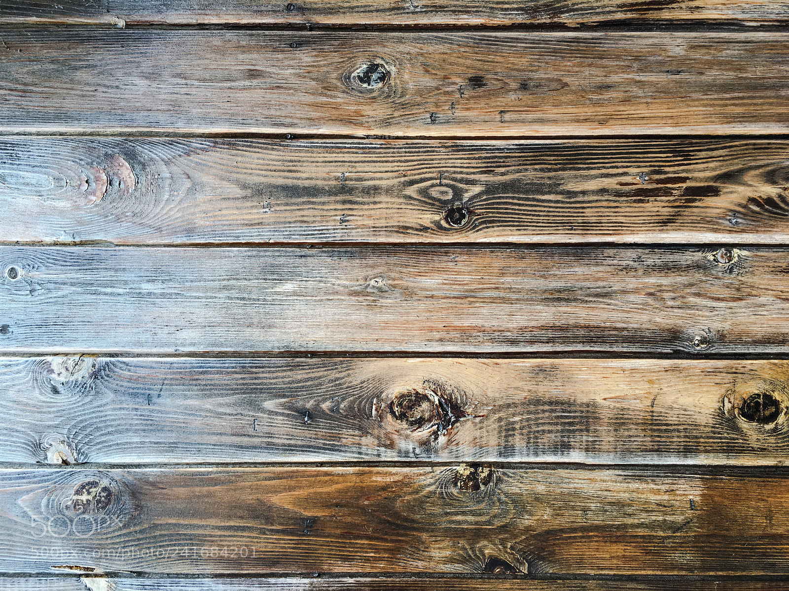 Apple iPhone 6s sample photo. Wood texture background, wood photography