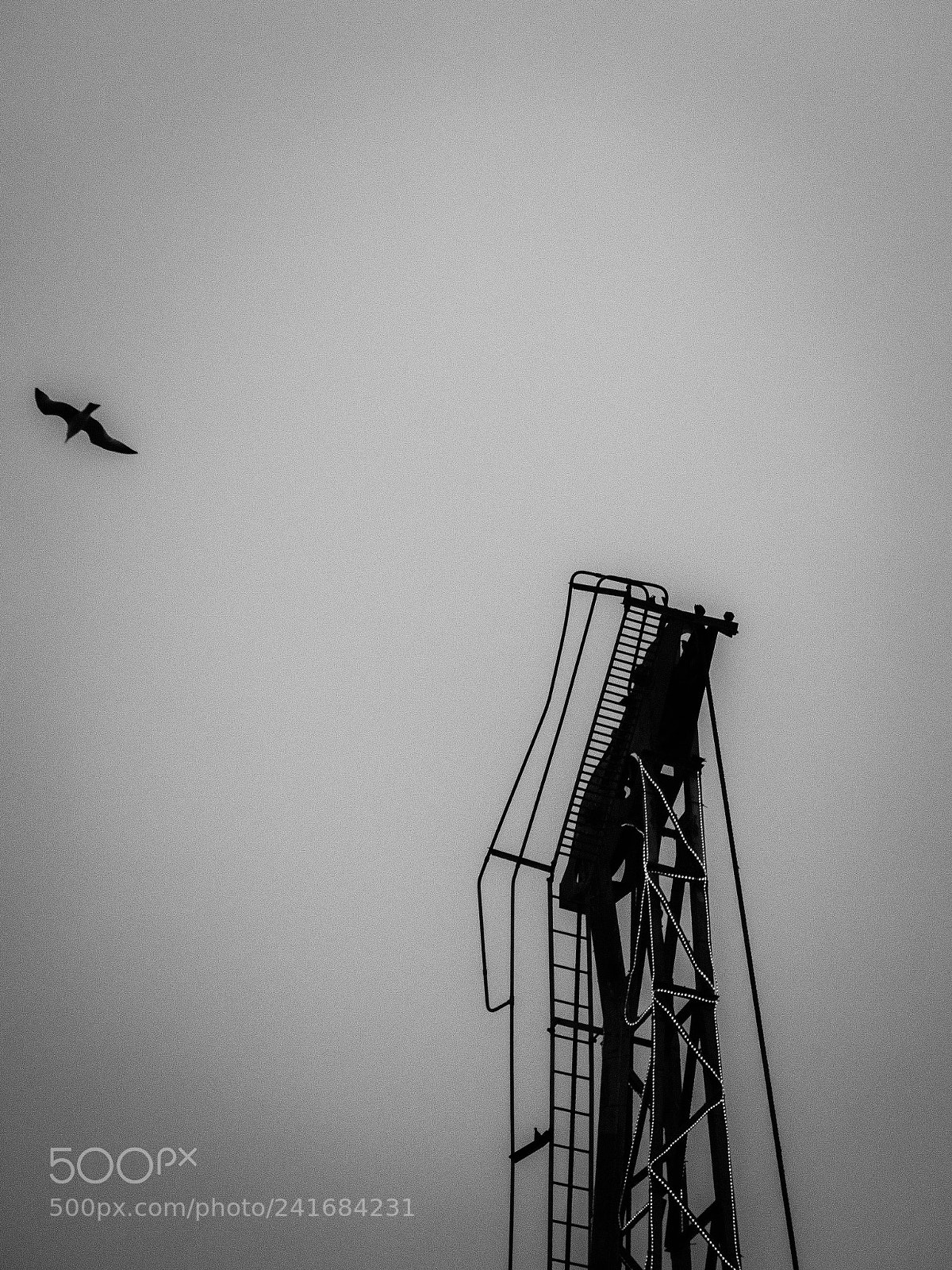 Canon PowerShot G7 X Mark II sample photo. In the sky photography