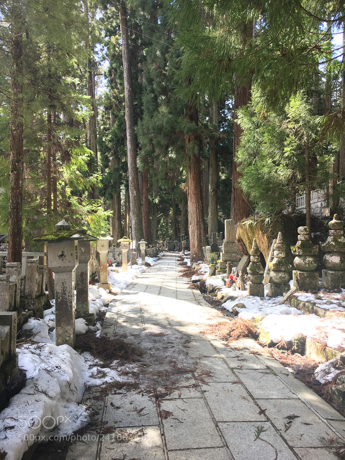 Apple iPhone 6s sample photo. Okunoin photography