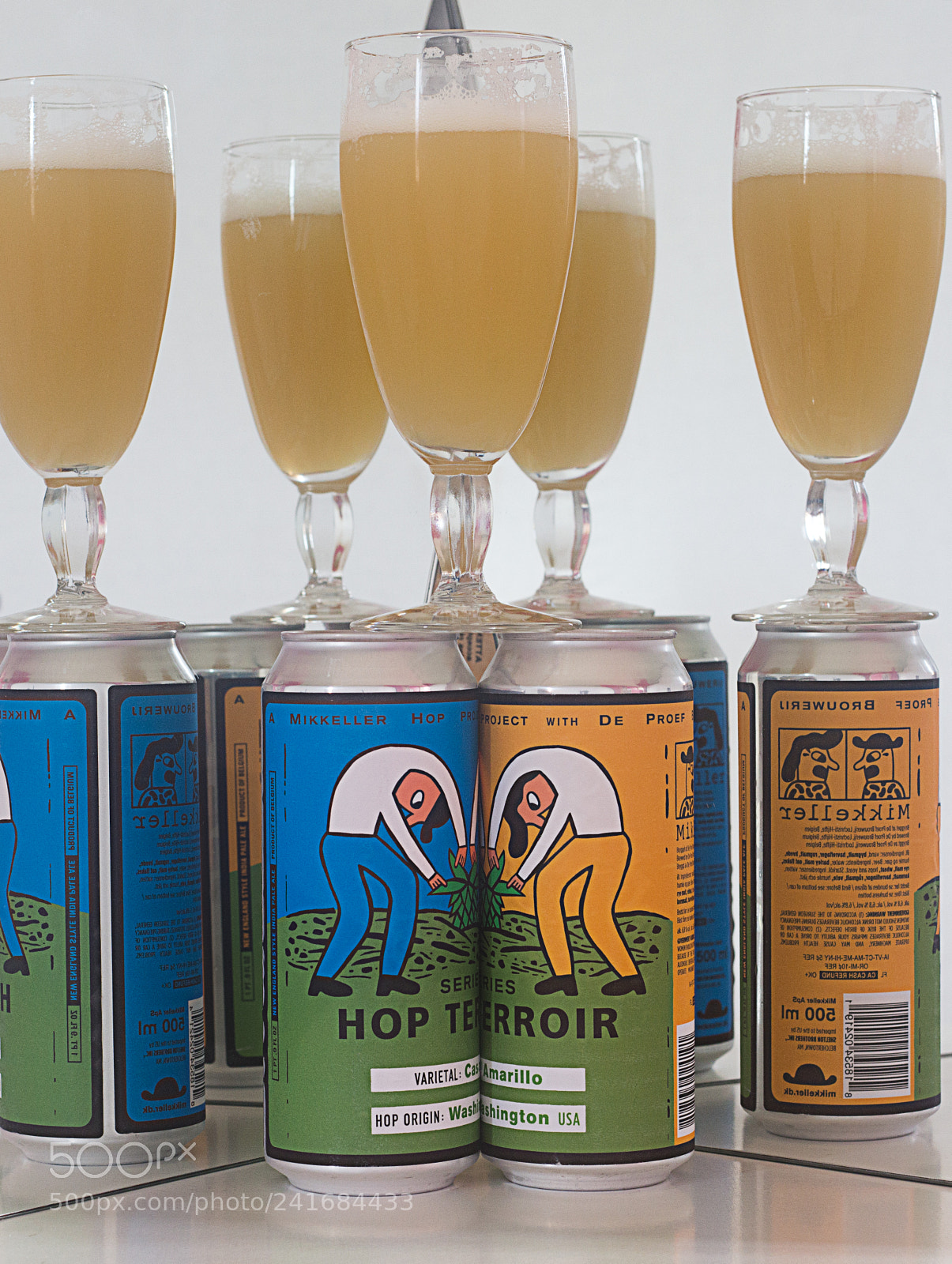 Canon EOS 60D sample photo. Series hop terroir citra photography