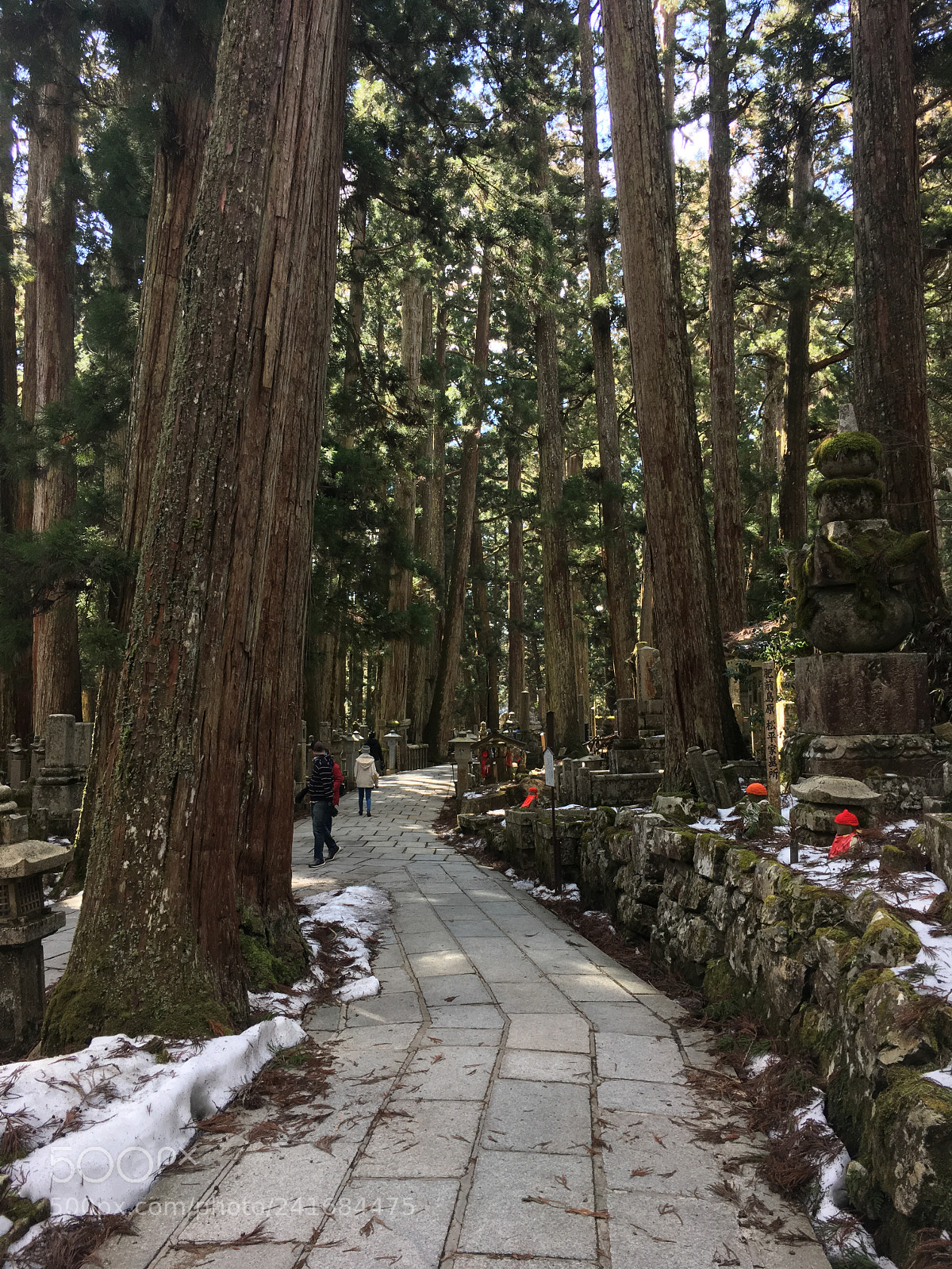 Apple iPhone 6s sample photo. Okunoin photography