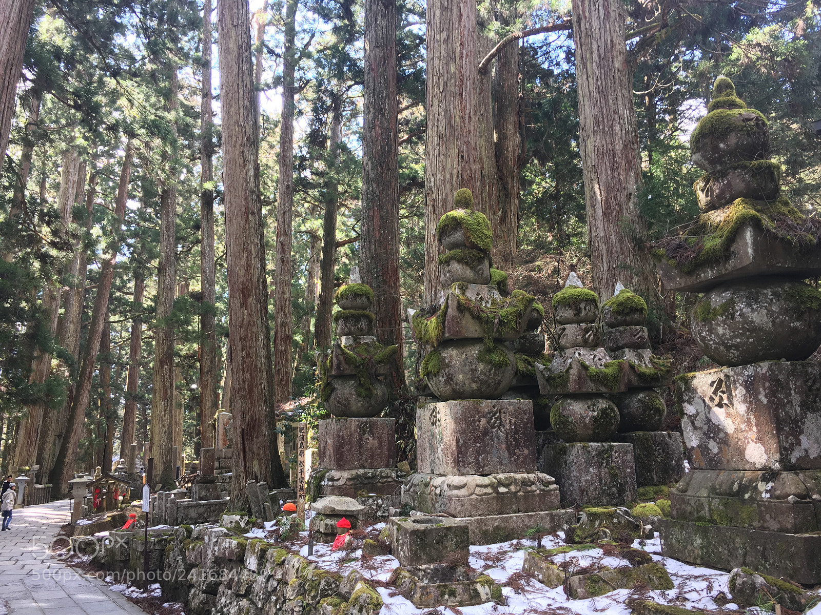 Apple iPhone 6s sample photo. Okunoin photography