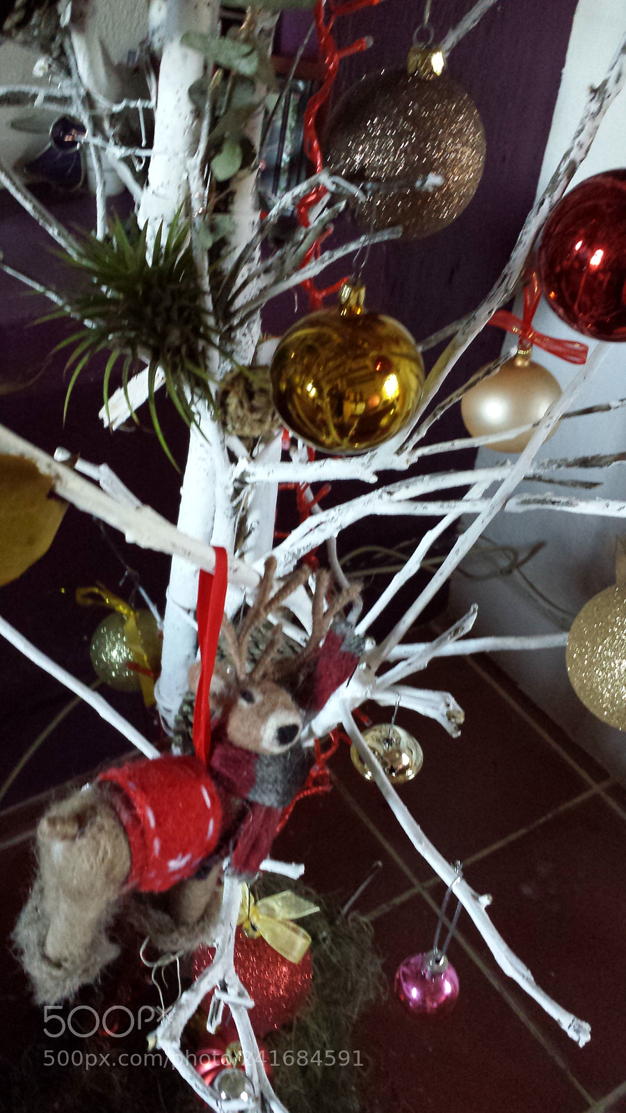 Samsung Galaxy S4 sample photo. Untitled photography