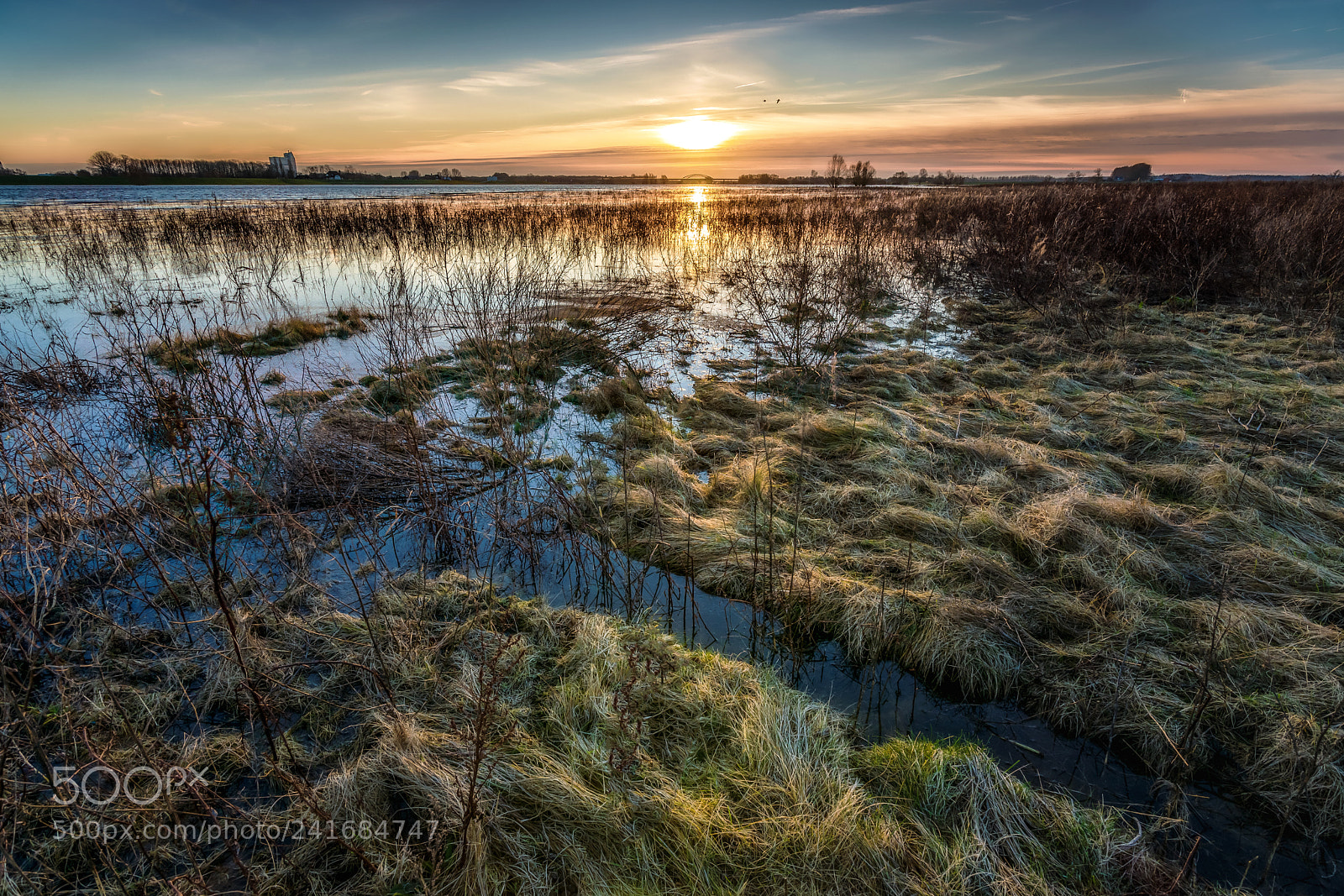 Sony Alpha DSLR-A900 sample photo. View over the floodplains photography