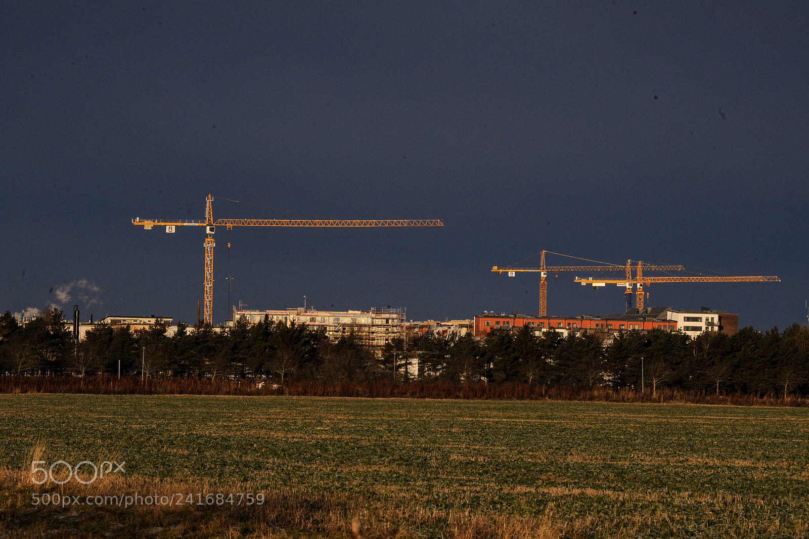Nikon D700 sample photo. Cranes where ever you photography