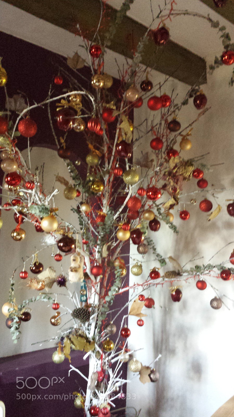 Samsung Galaxy S4 sample photo. Untitled photography