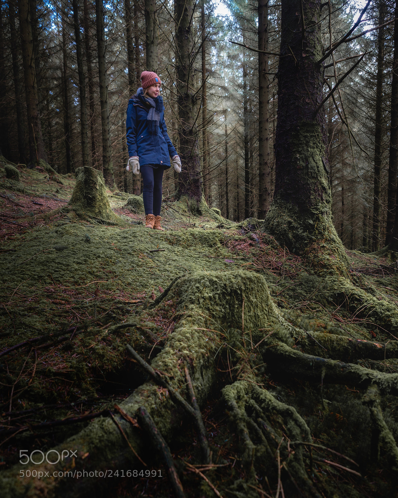 Olympus OM-D E-M10 sample photo. Fairytale forest photography