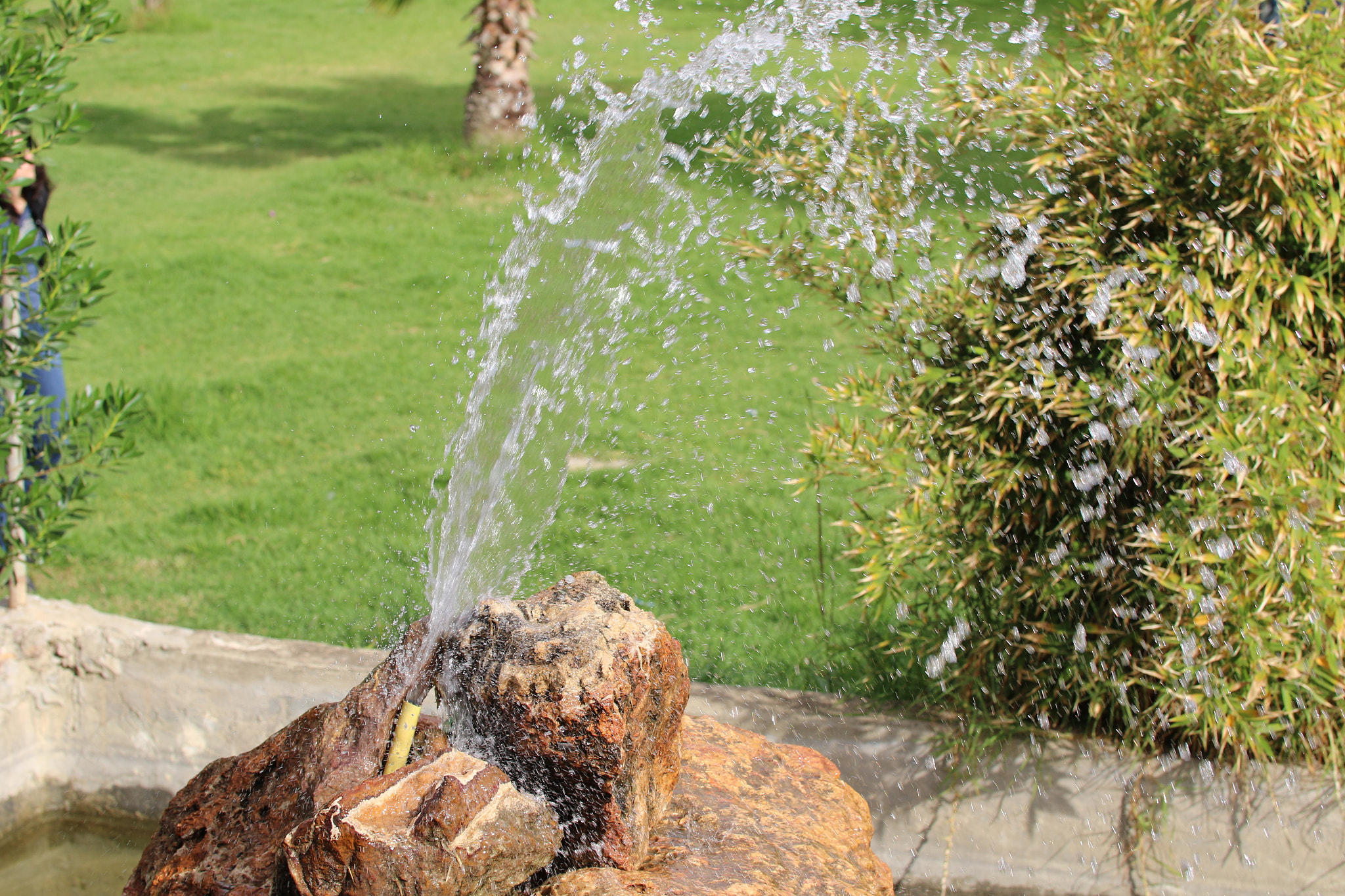 Sigma 50-100mm F1.8 DC HSM Art sample photo. Water photography