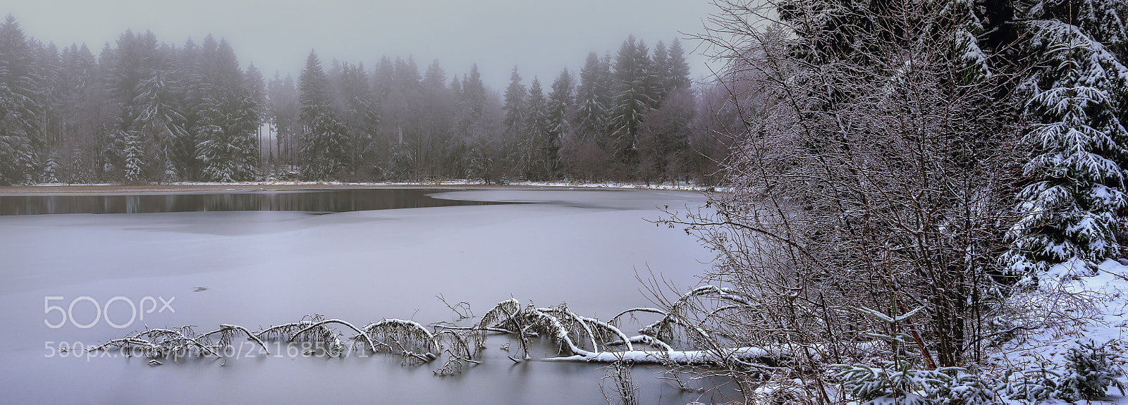 Nikon D810 sample photo. Wonderful harz - at photography