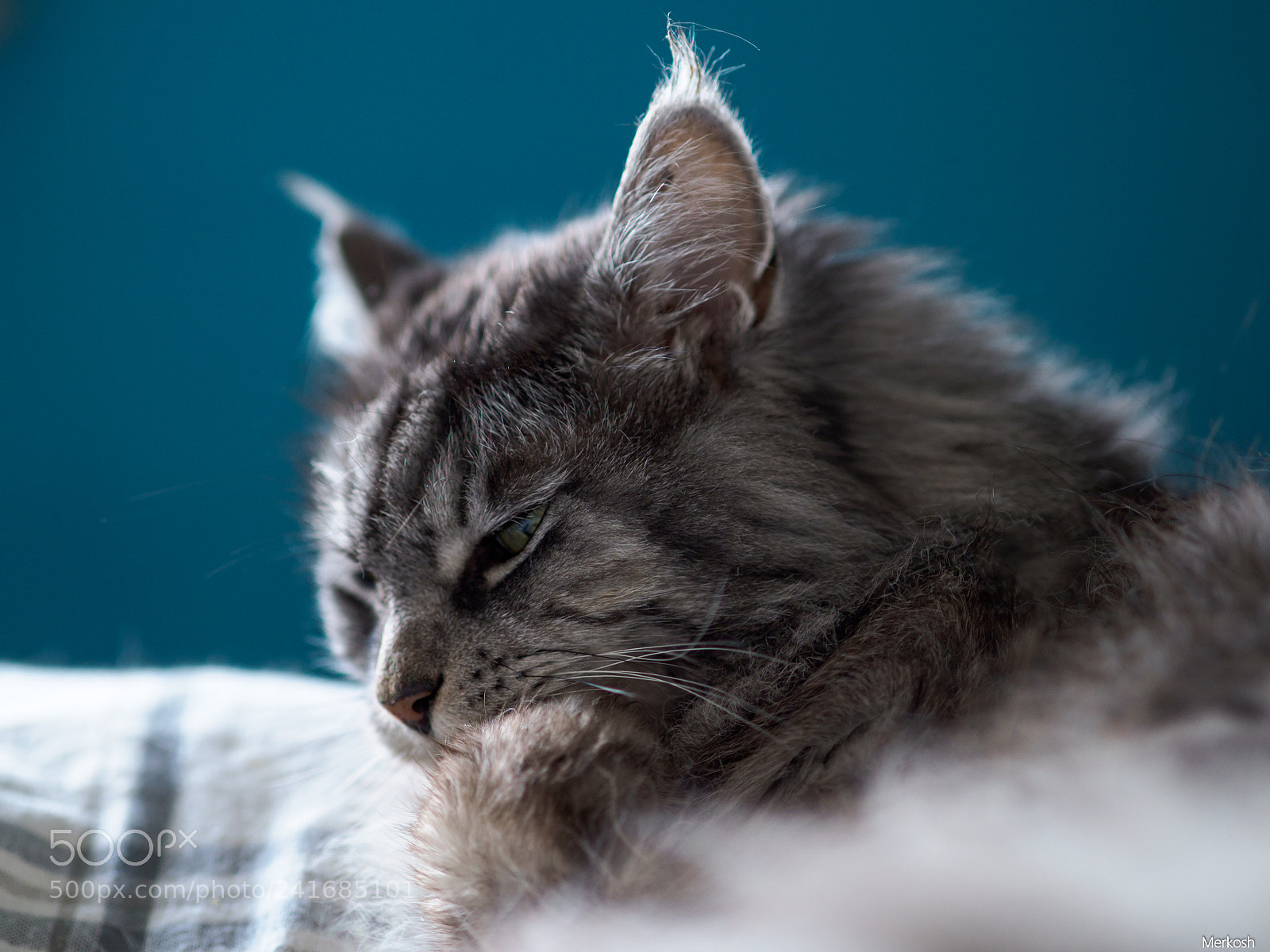 Olympus OM-D E-M1 Mark II sample photo. Waschtag photography