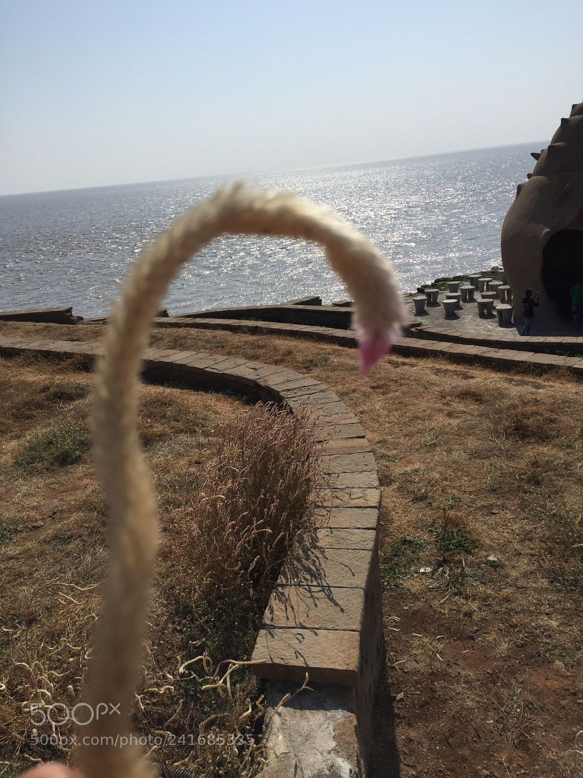 Apple iPhone 6 sample photo. @gujarat photography
