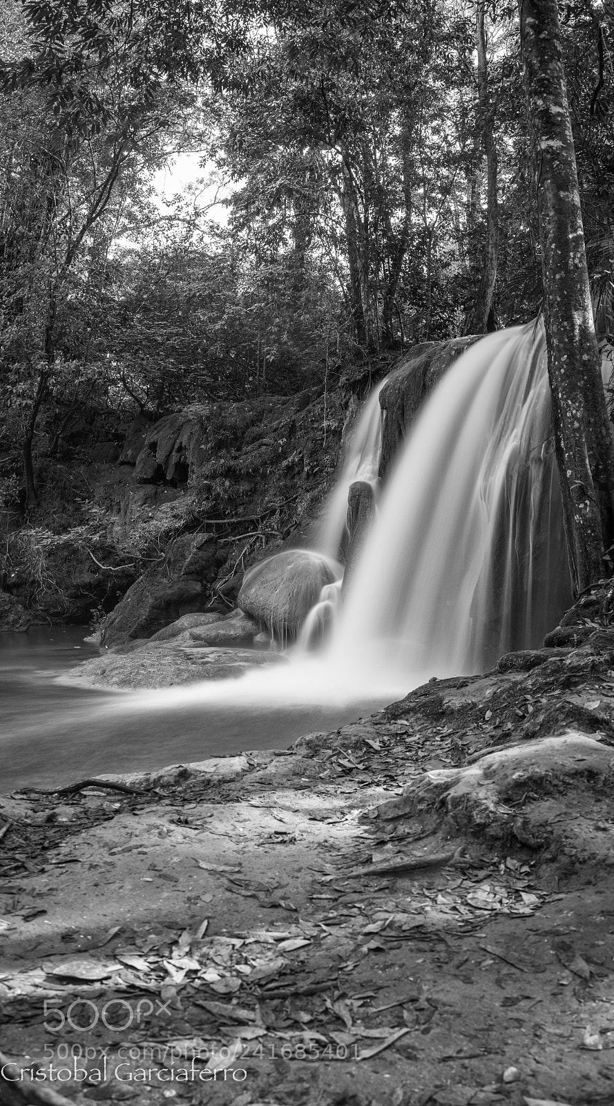 Nikon D5 sample photo. Waterfall in the jungle photography