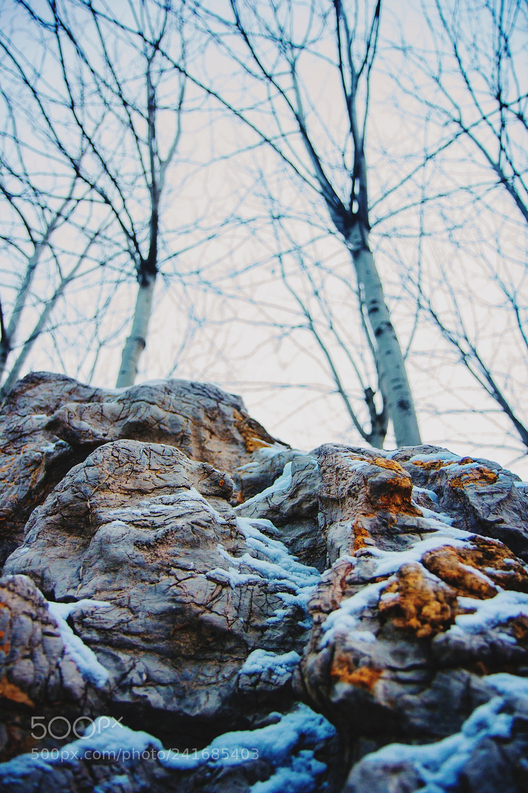 Canon EOS 60D sample photo. Untitled photography