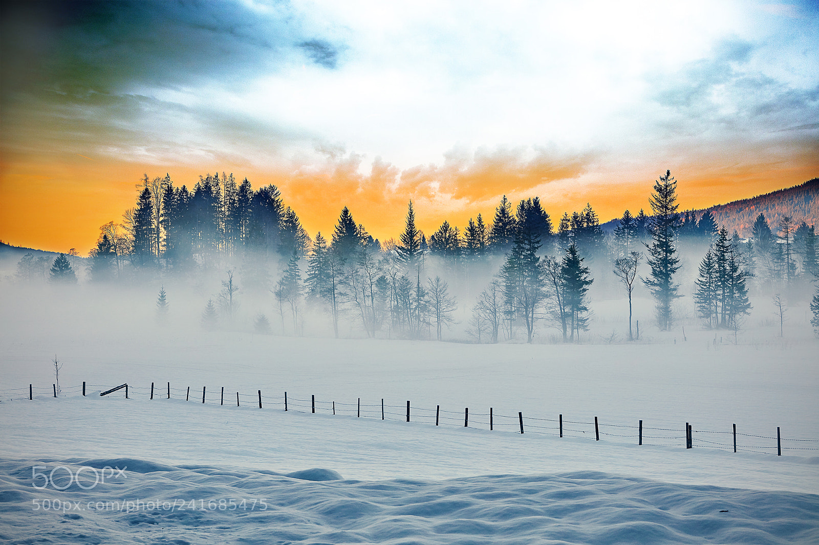 Canon EOS 5DS R sample photo. Snowy forrest photography