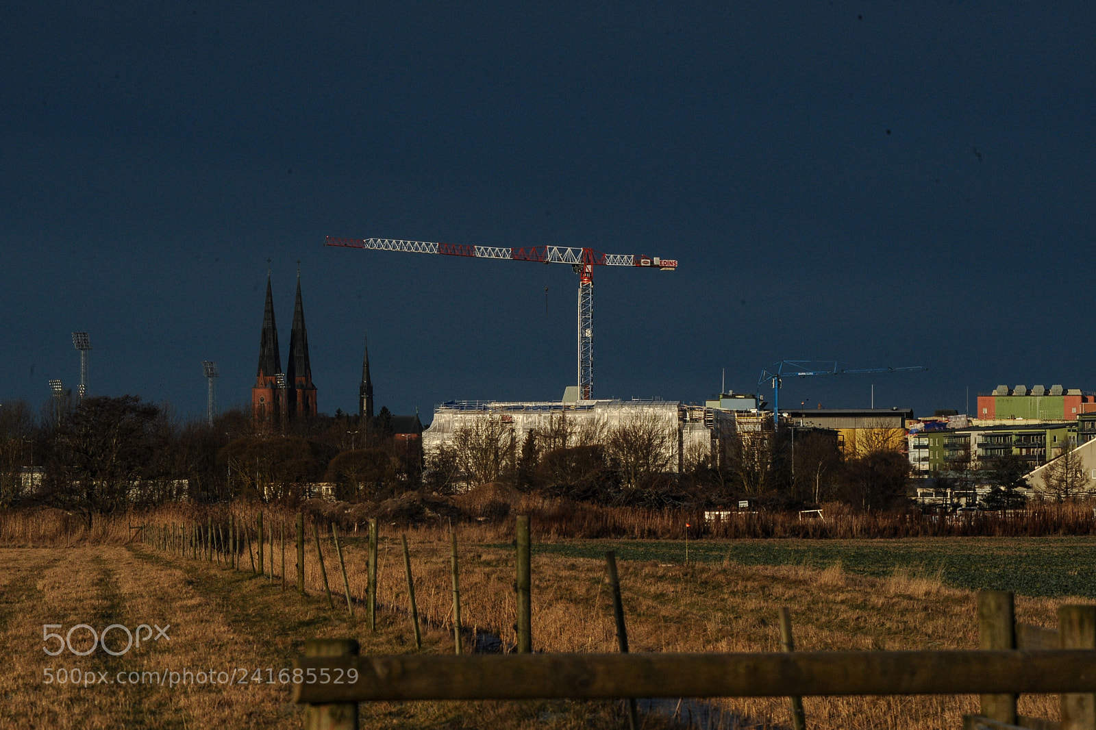 Nikon D700 sample photo. A single crane in photography