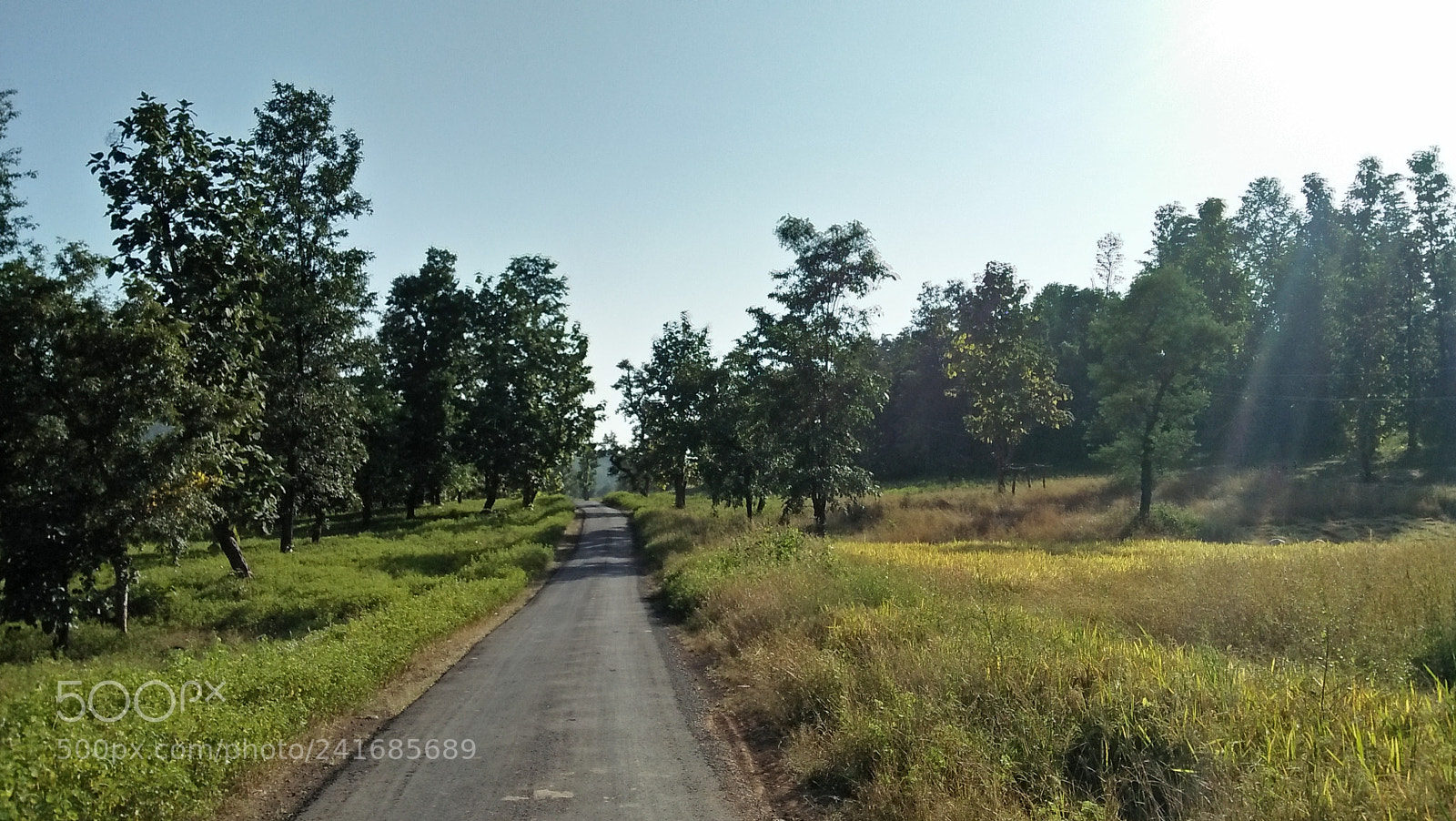 OPPO A37fw-International sample photo. Nature bloody awesome photography
