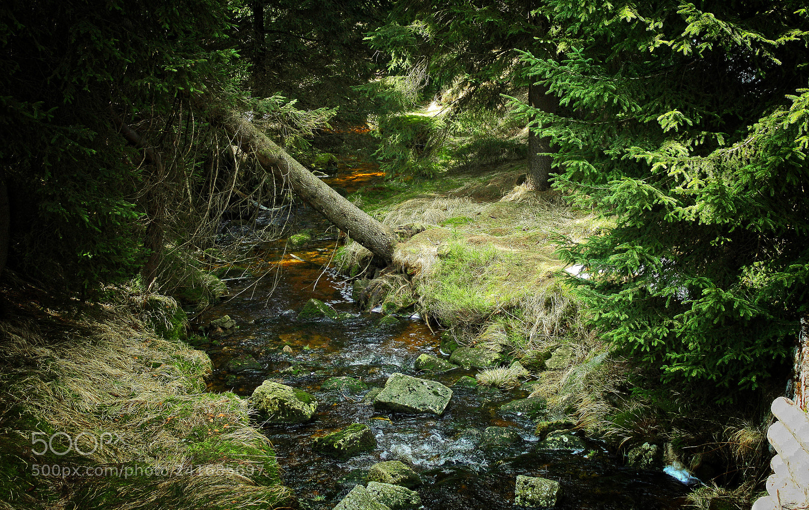 Canon EOS 450D (EOS Rebel XSi / EOS Kiss X2) sample photo. Somewhere in the mountains photography