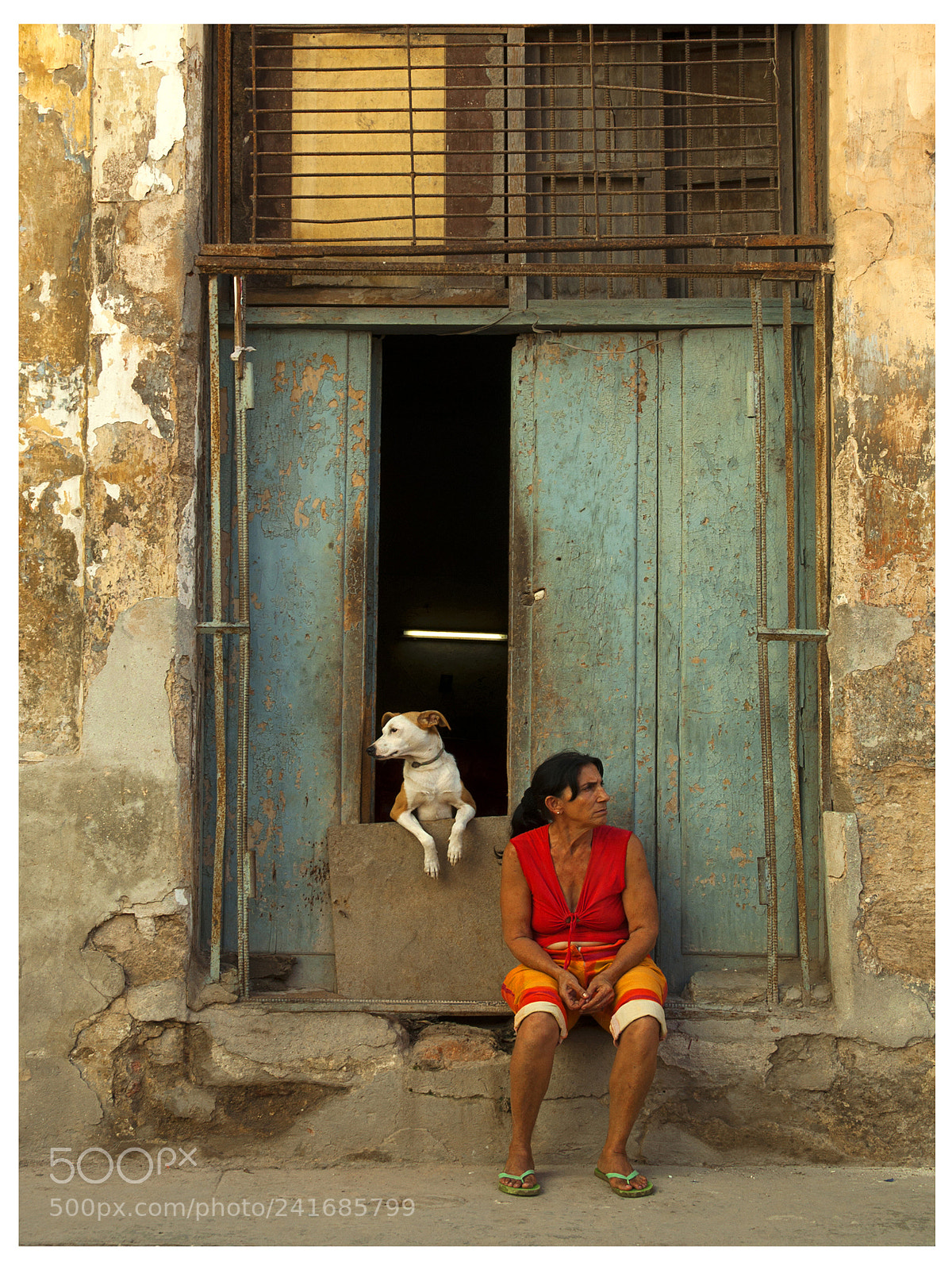 Nikon D90 sample photo. Dog-woman photography