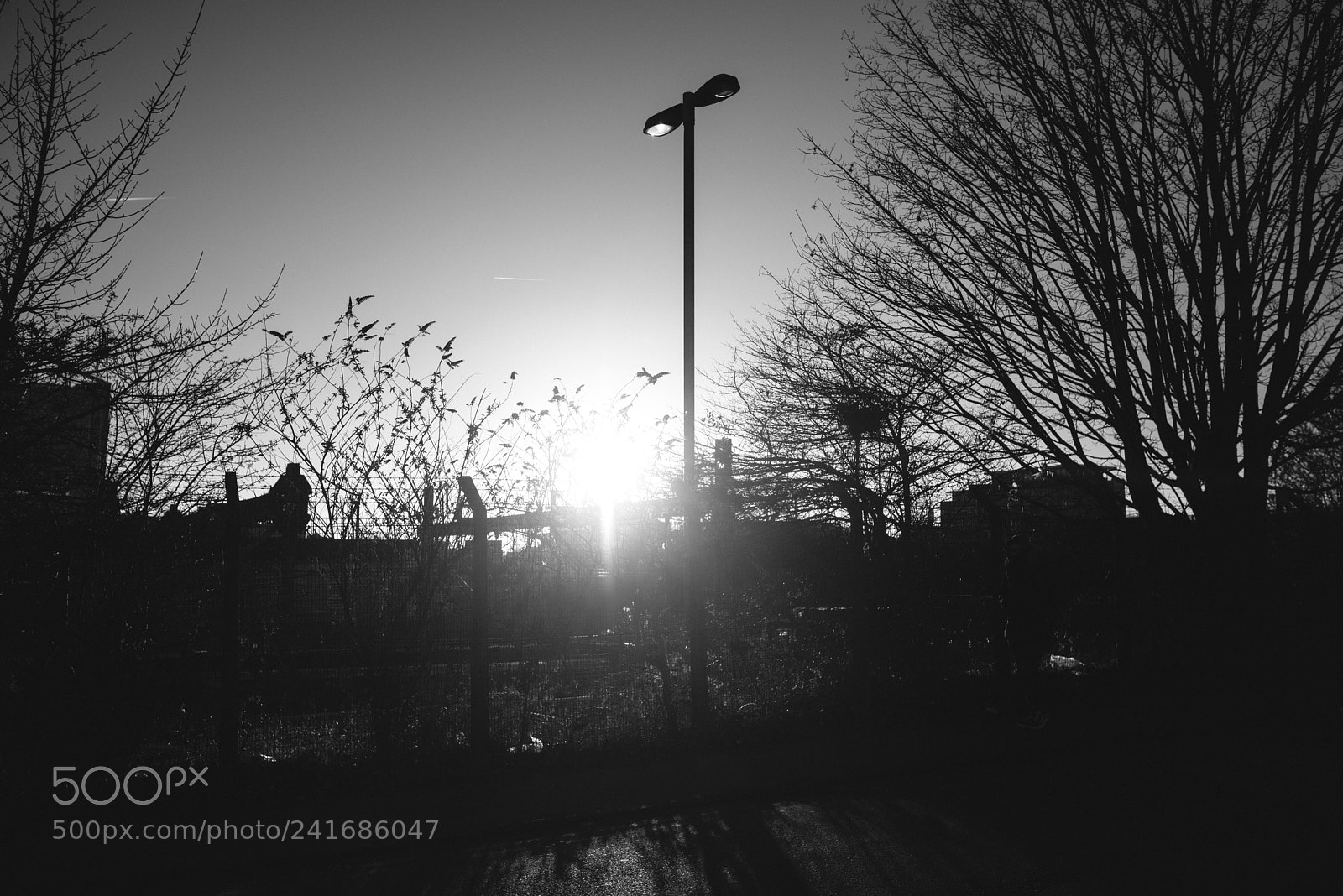 Nikon D800 sample photo. Slough pm 1 photography