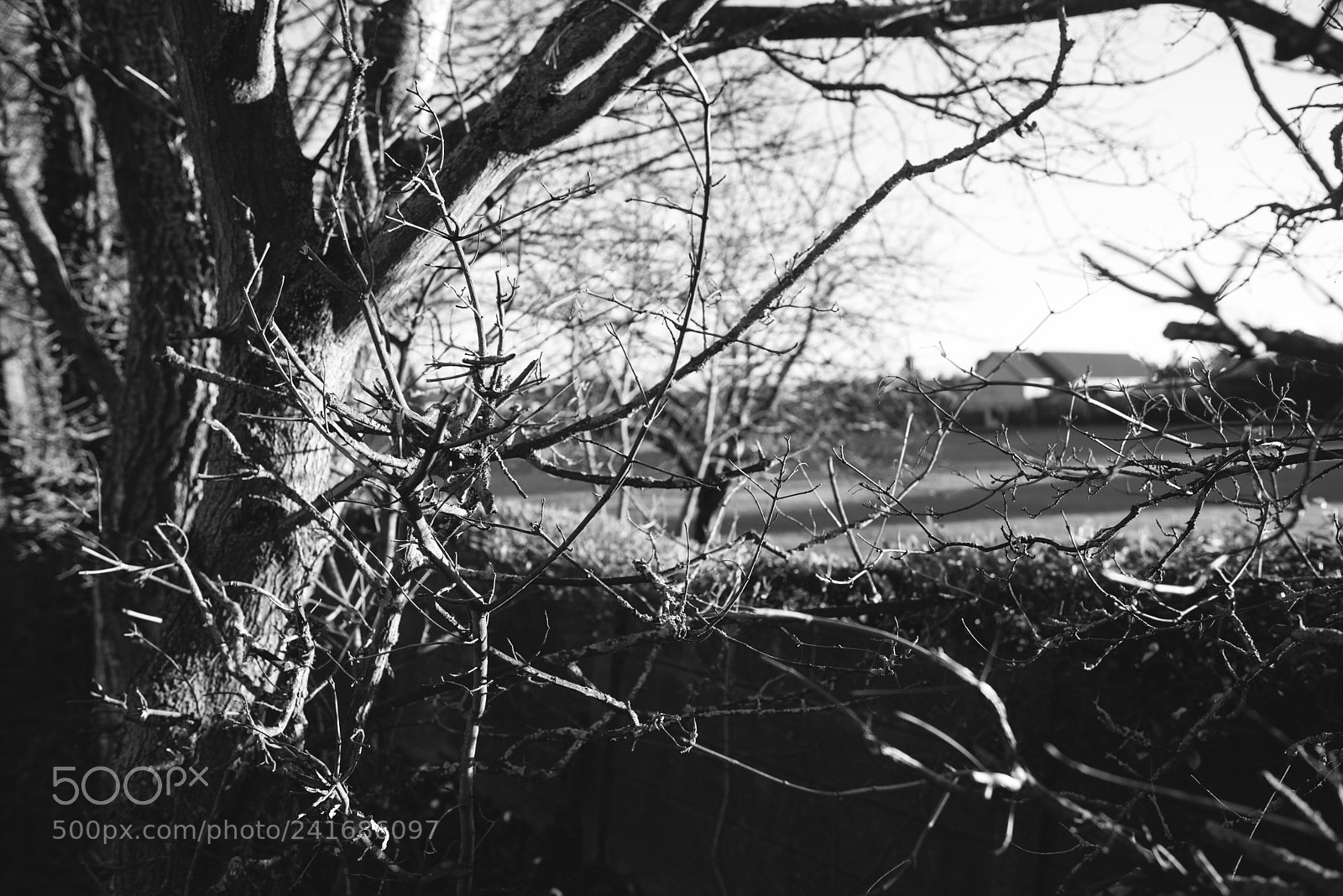 Nikon D800 sample photo. Slough pm 3 photography
