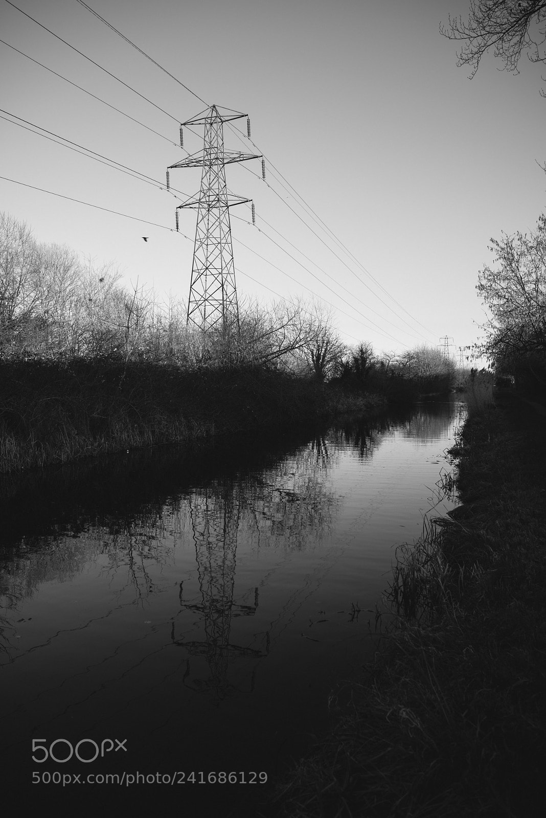 Nikon D800 sample photo. Slough pm 4 photography