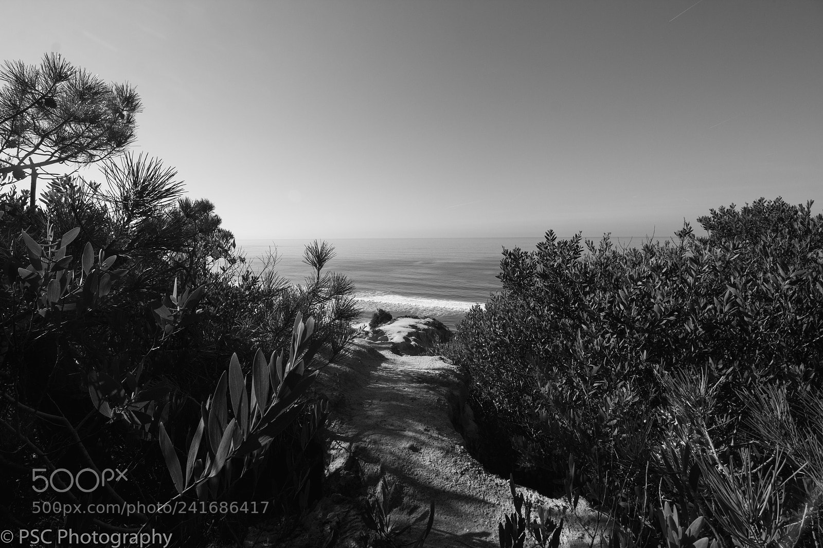 Canon EOS 60D sample photo. Fonte da telha photography