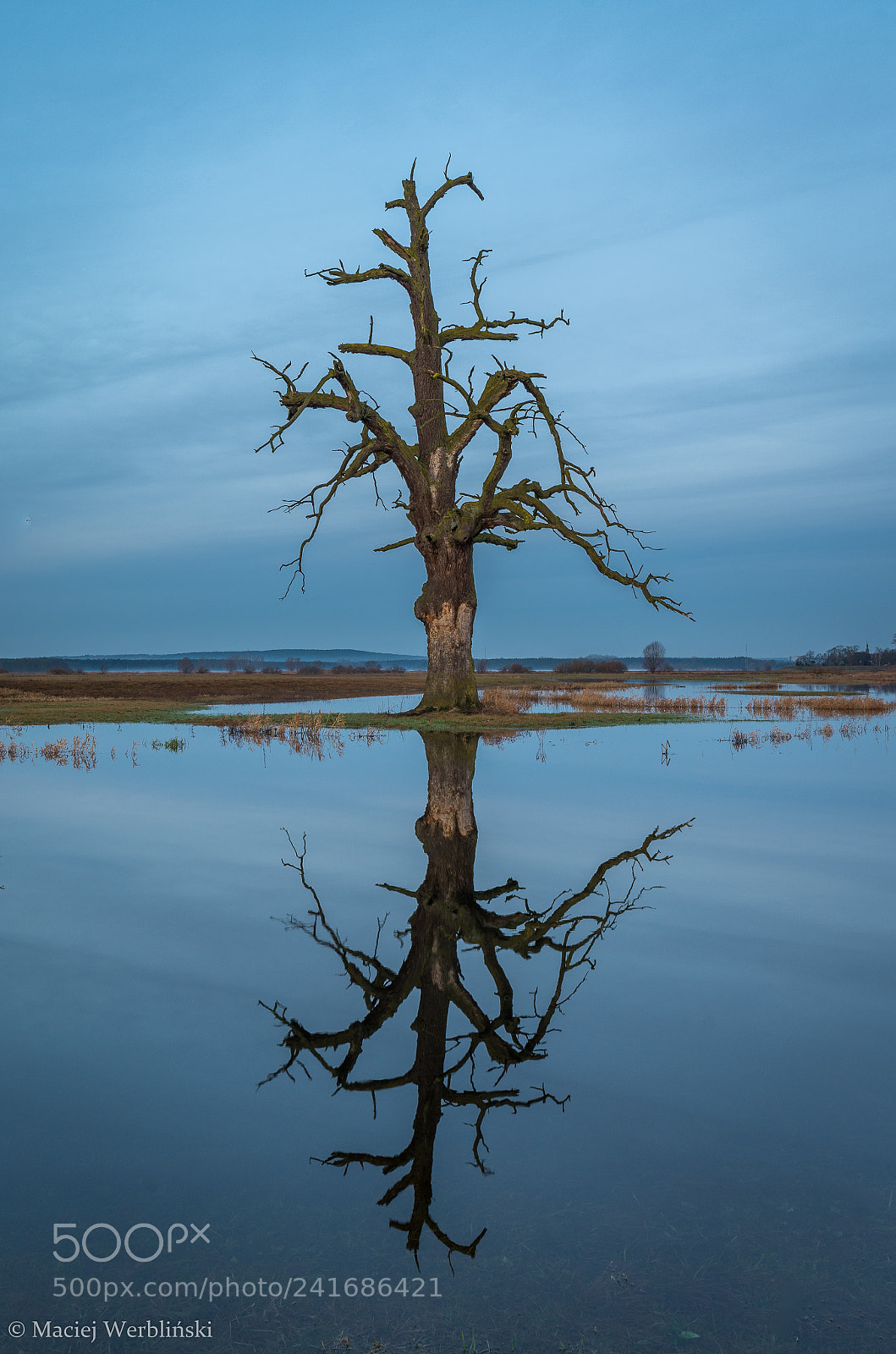 Pentax K-50 sample photo. Symmetry photography