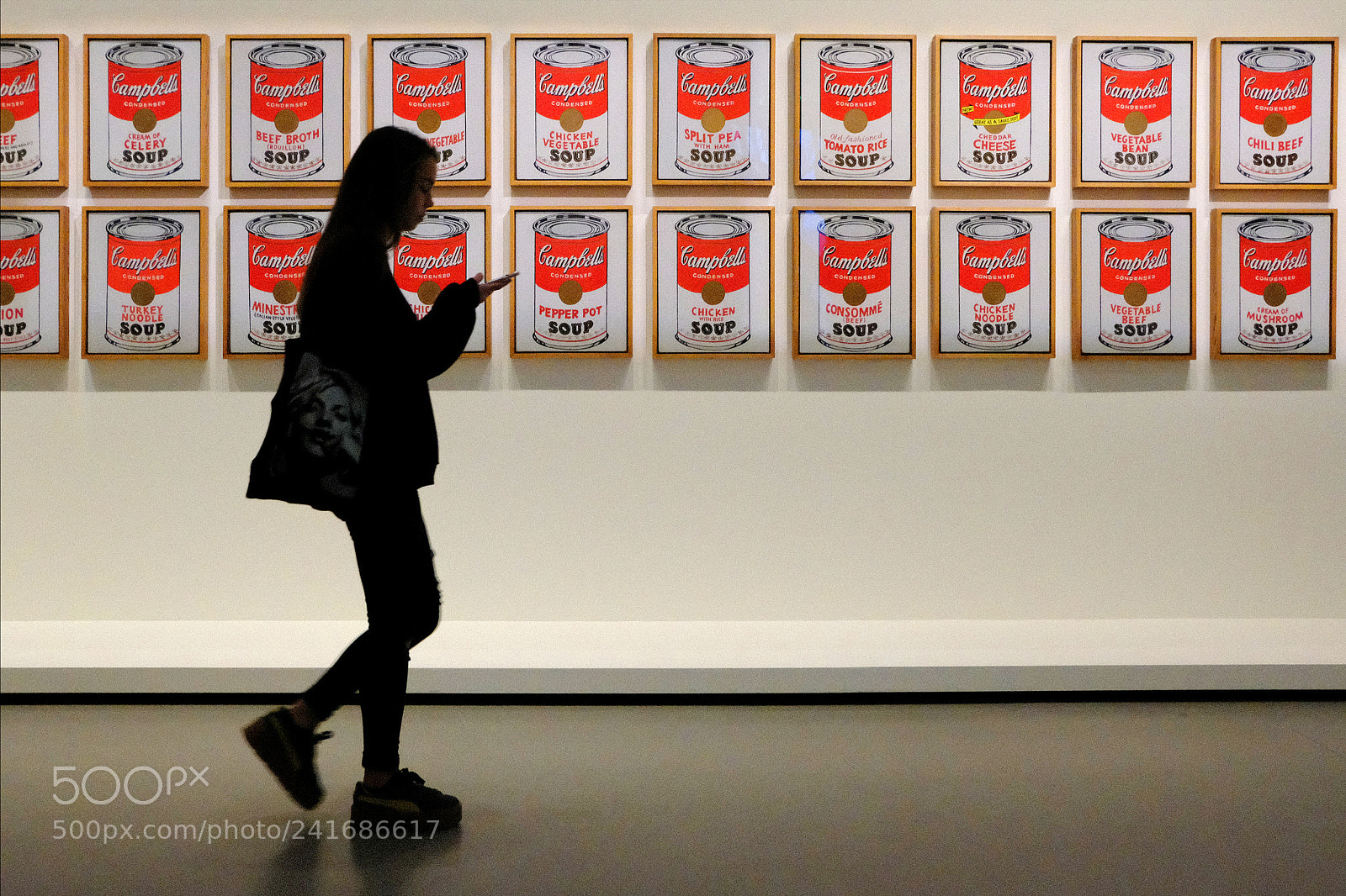 Fujifilm X-T20 sample photo. Campbell's soup moma la photography