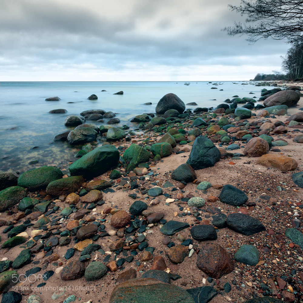 Canon EOS 5D sample photo. Mg photography