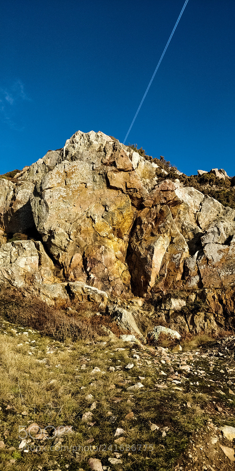 OnePlus 5T sample photo. Howth cliff walk 2 photography