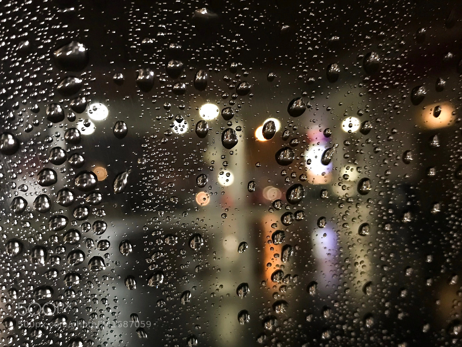 Apple iPhone 7 Plus sample photo. Untitled photography