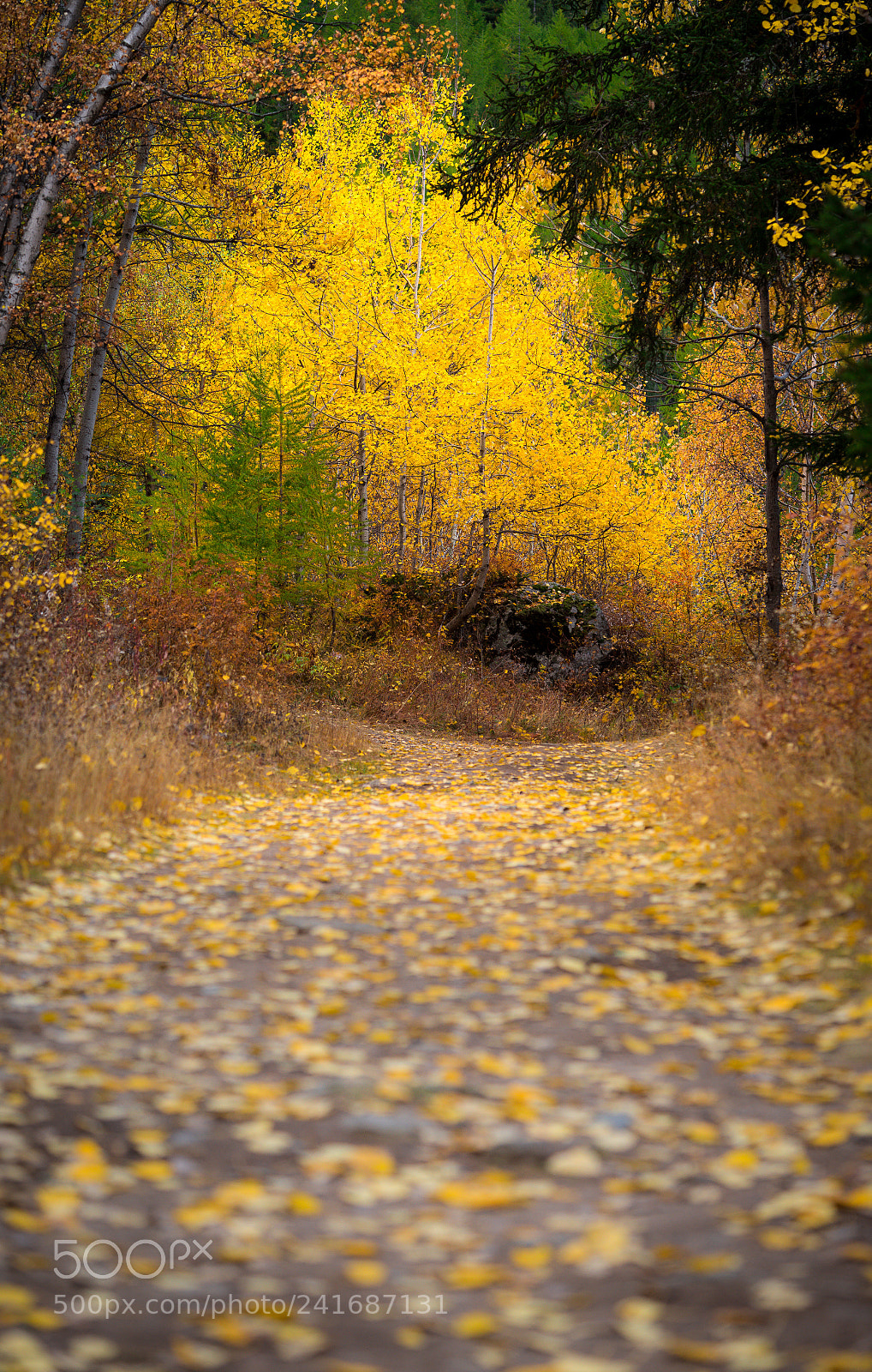 Sony a7R sample photo. Trail neu photography