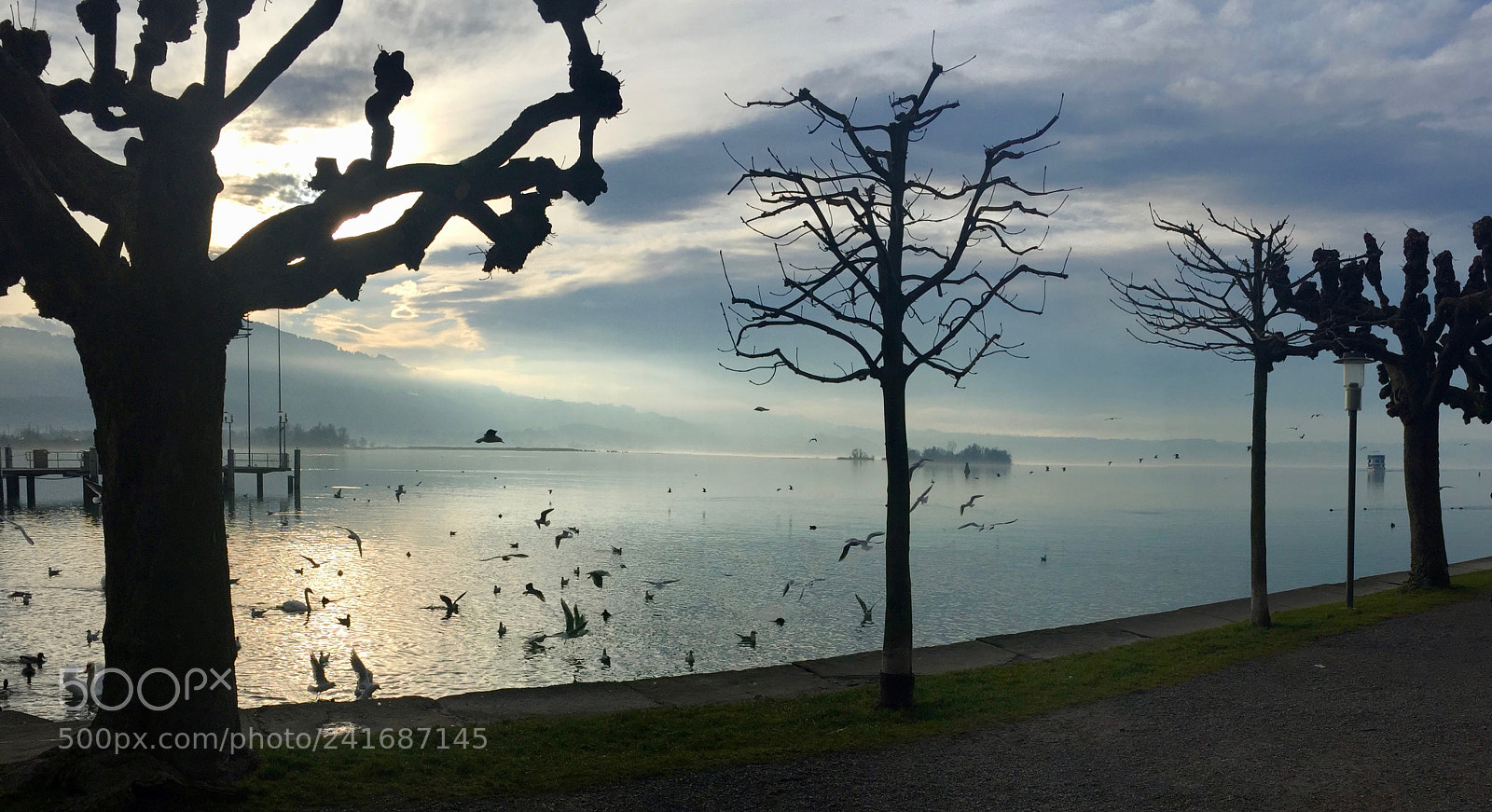 Apple iPhone 6 sample photo. Hafen rapperswil photography