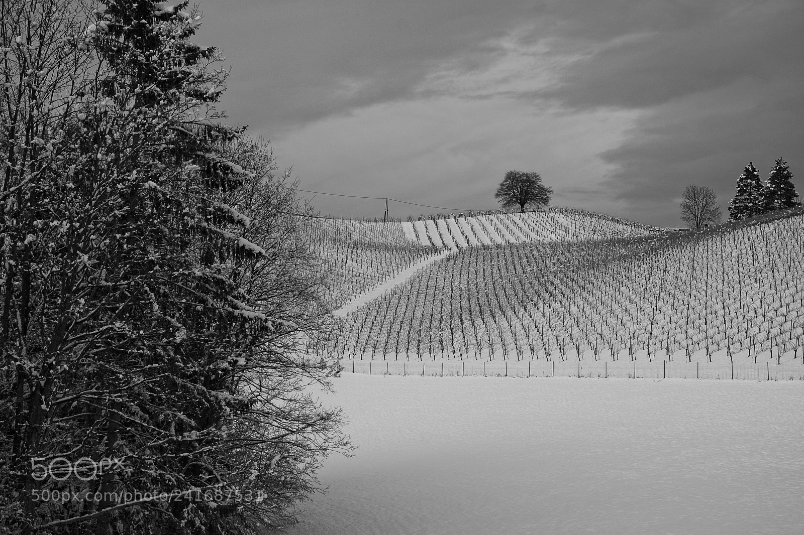 Nikon D7100 sample photo. Love the winter in photography