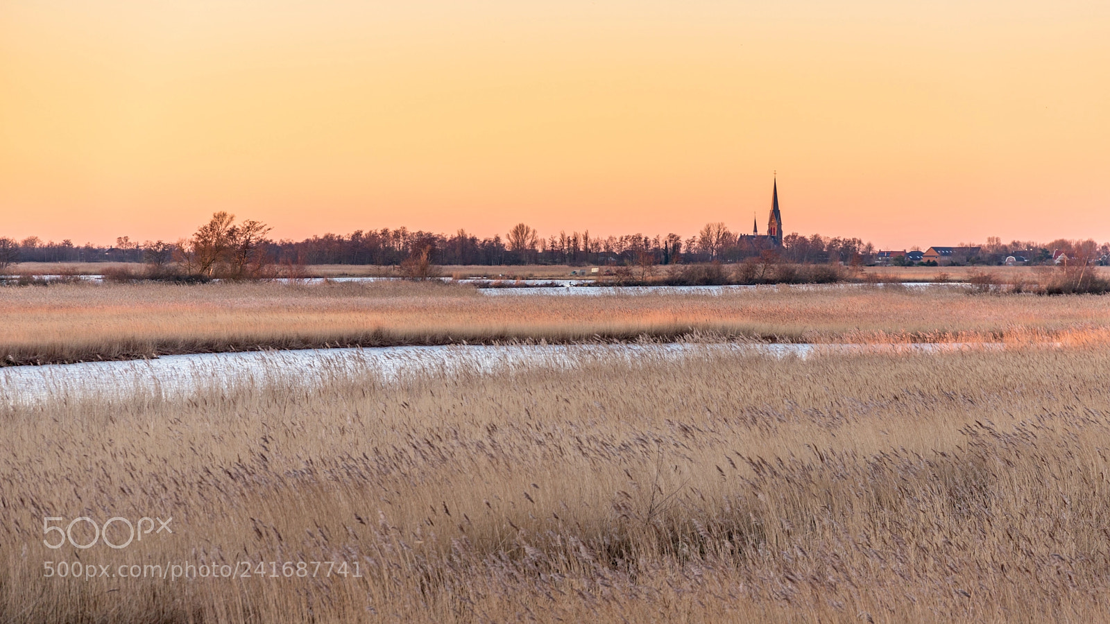 Canon EOS 6D Mark II sample photo. Nieuwkoop photography
