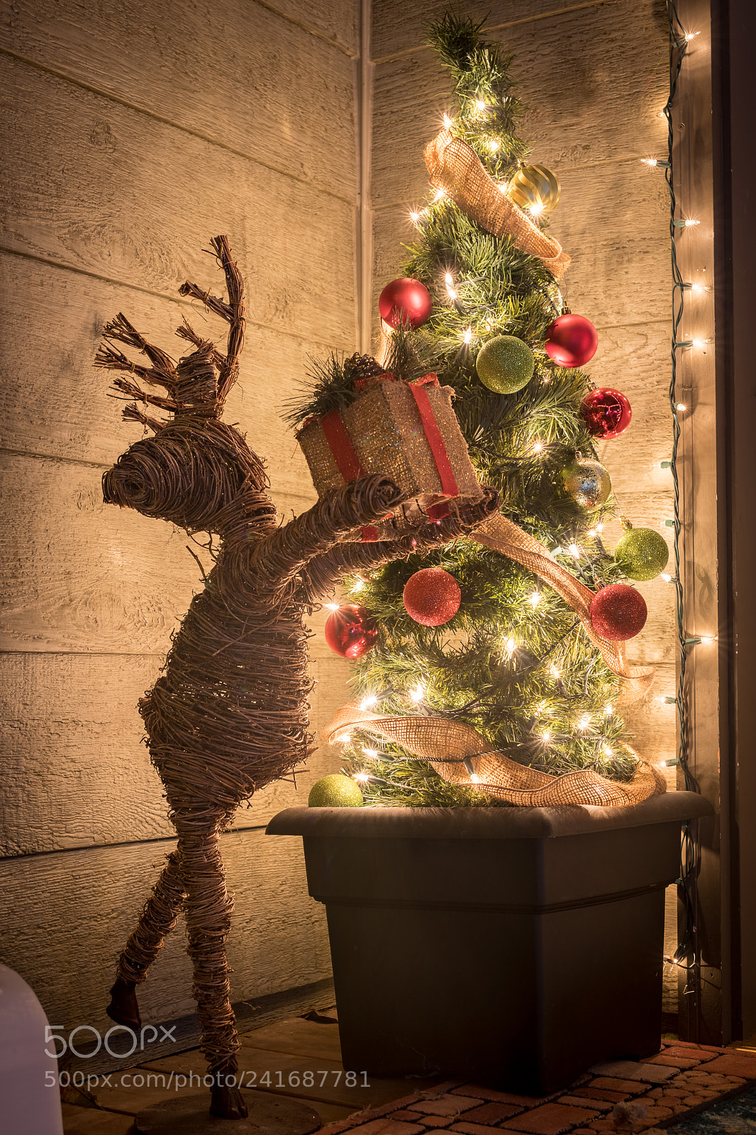 Canon EOS 6D Mark II sample photo. Christmas photography